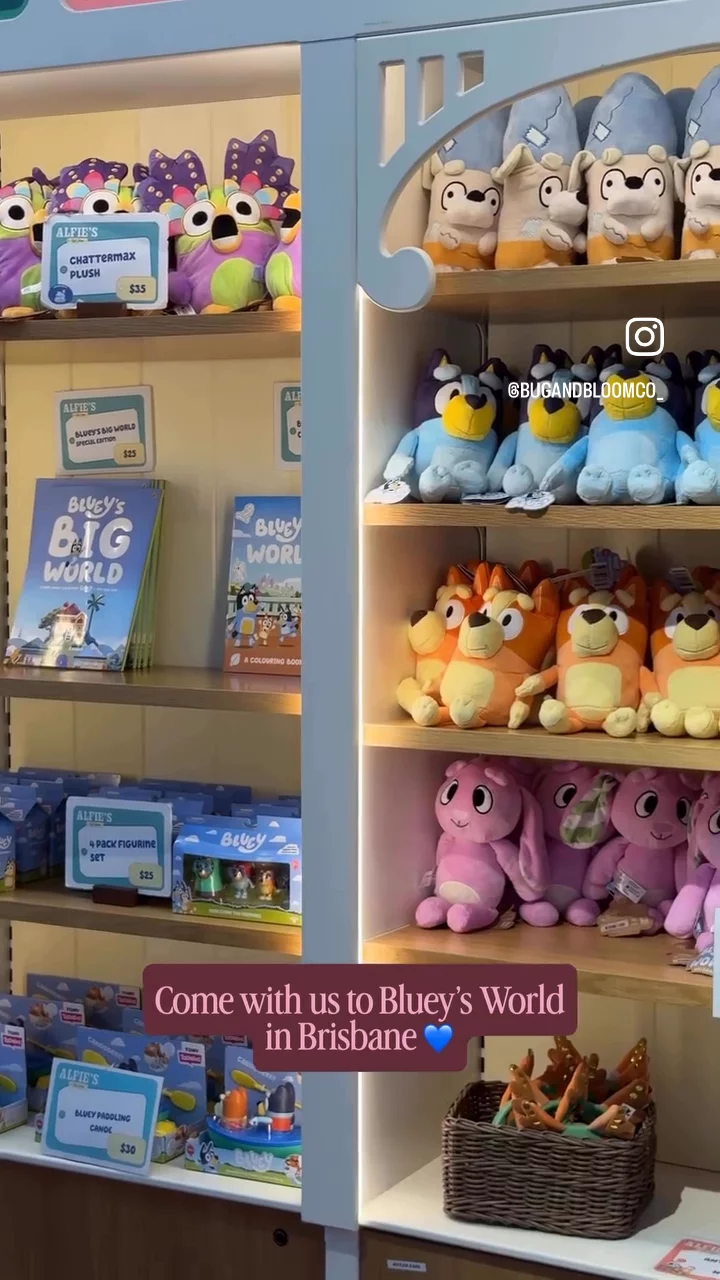 Bluey’s World | Family Experience UGC