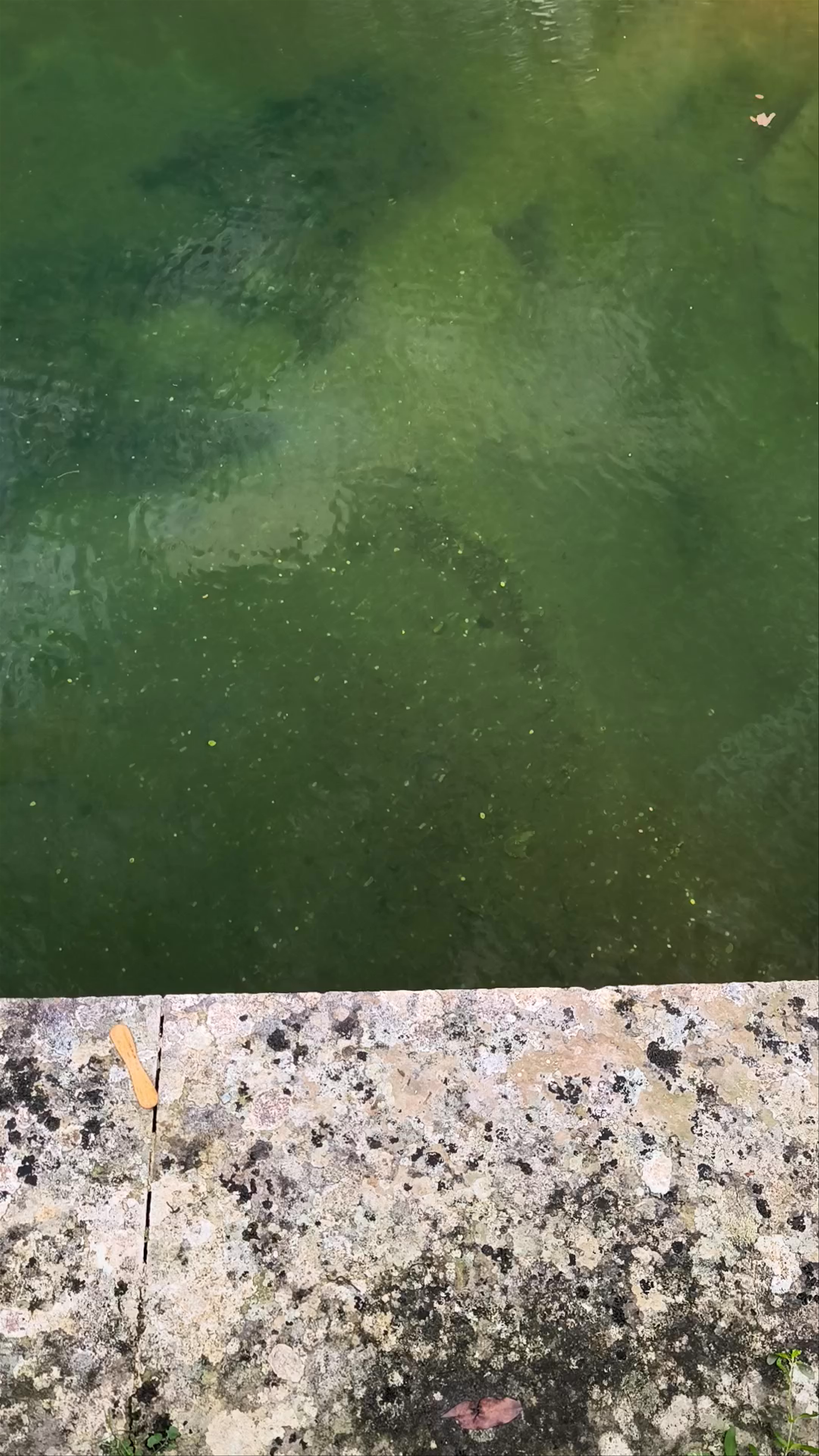 Fuente de los Siete Caños