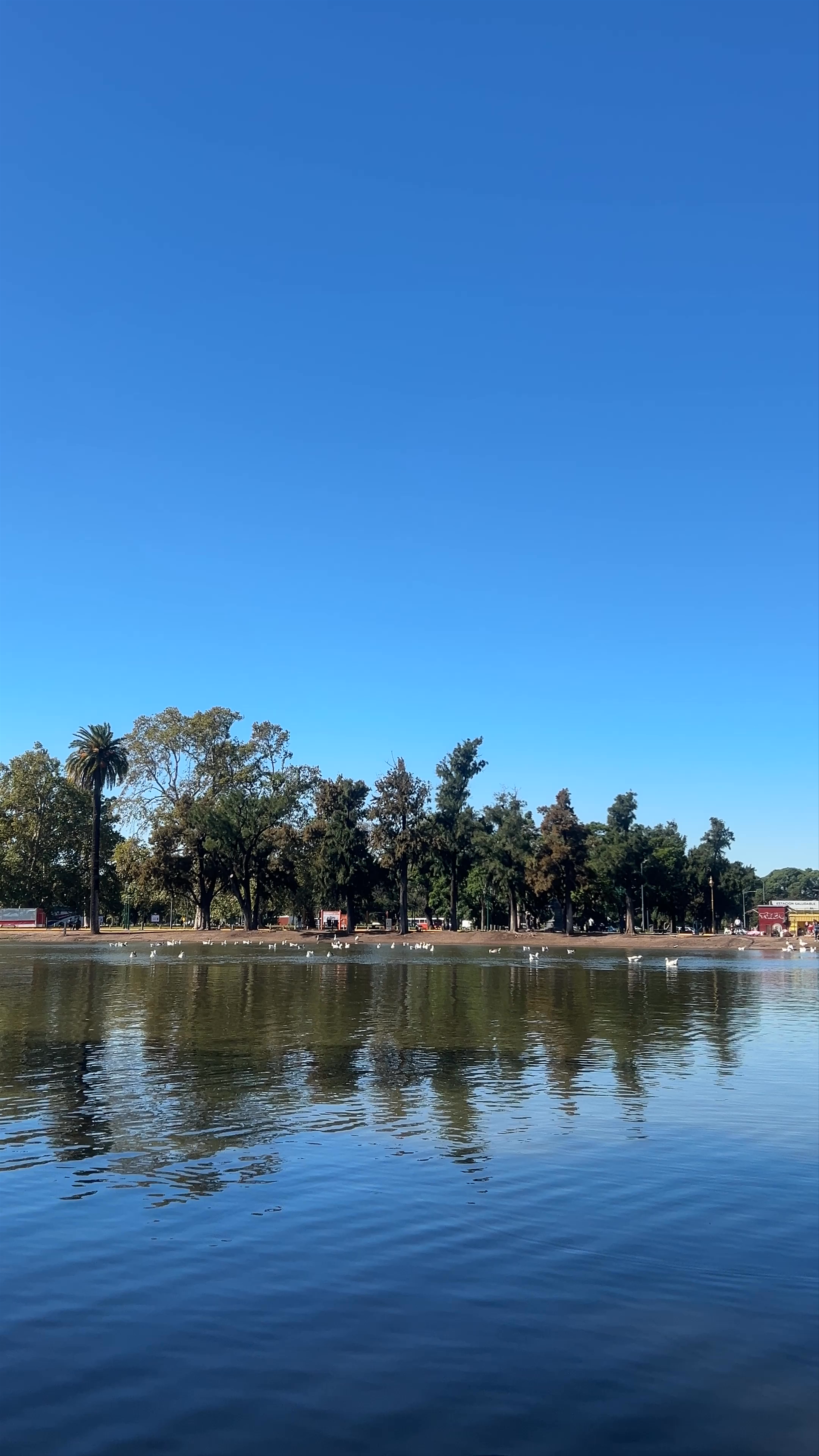Parque El Rosedal