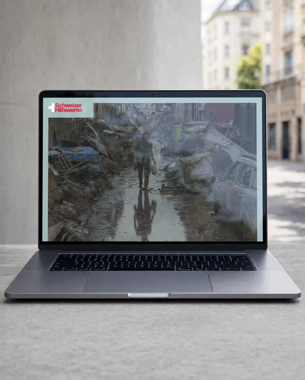 alliancesud-mockup_website
