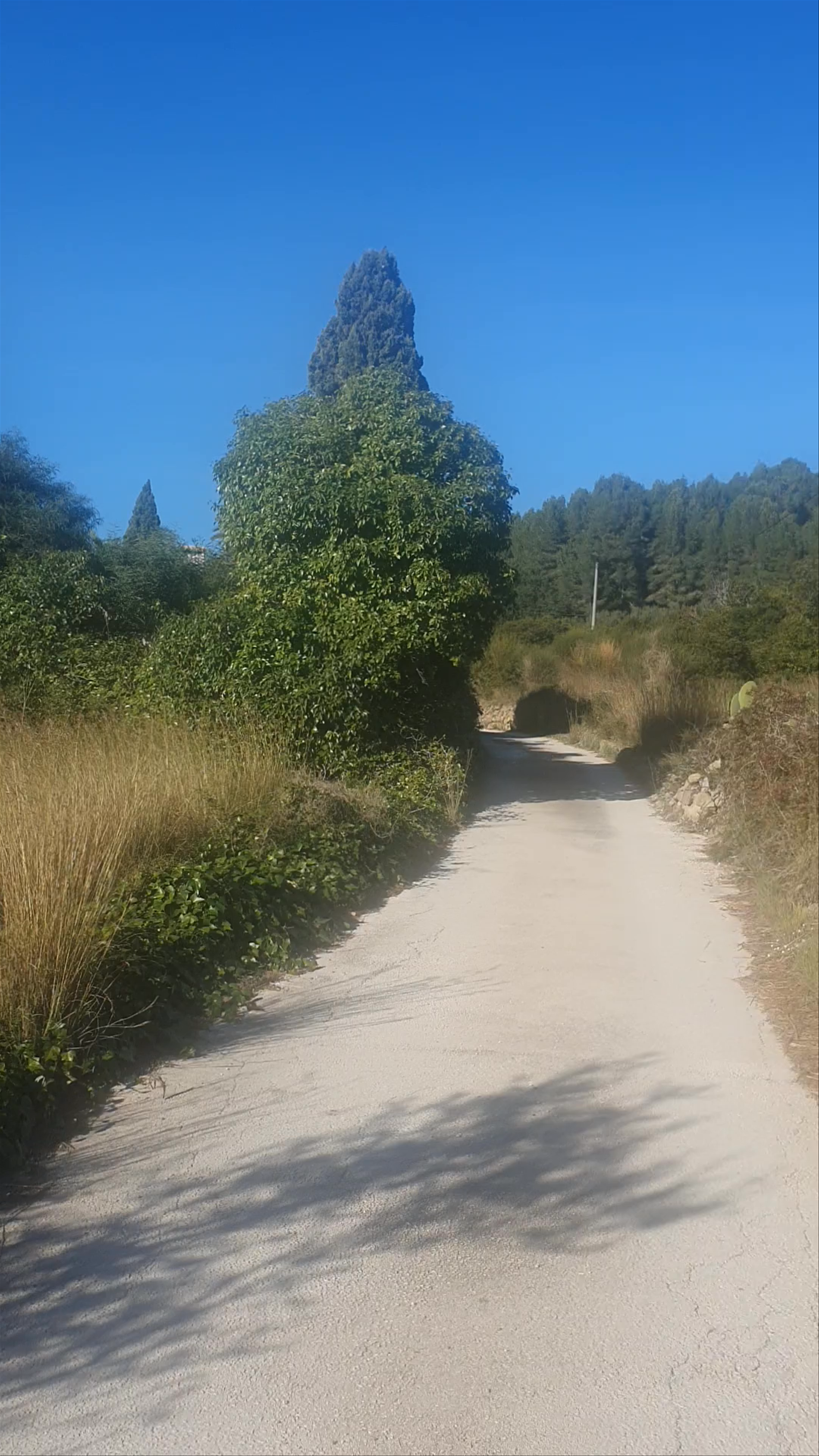 Nature Walk near Denia: Serene Outdoors in Comunidad Valenciana