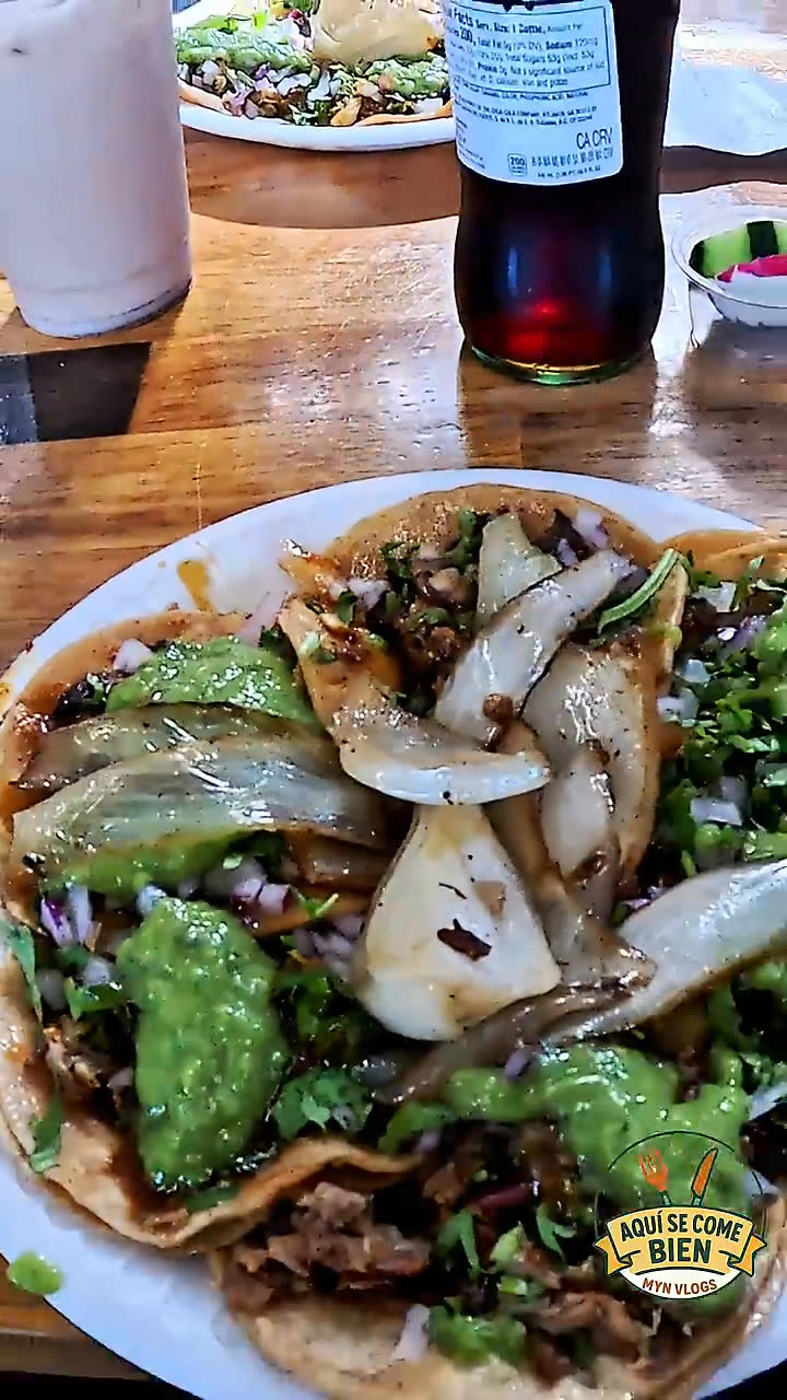 Vídeo UGC 1 de Noe