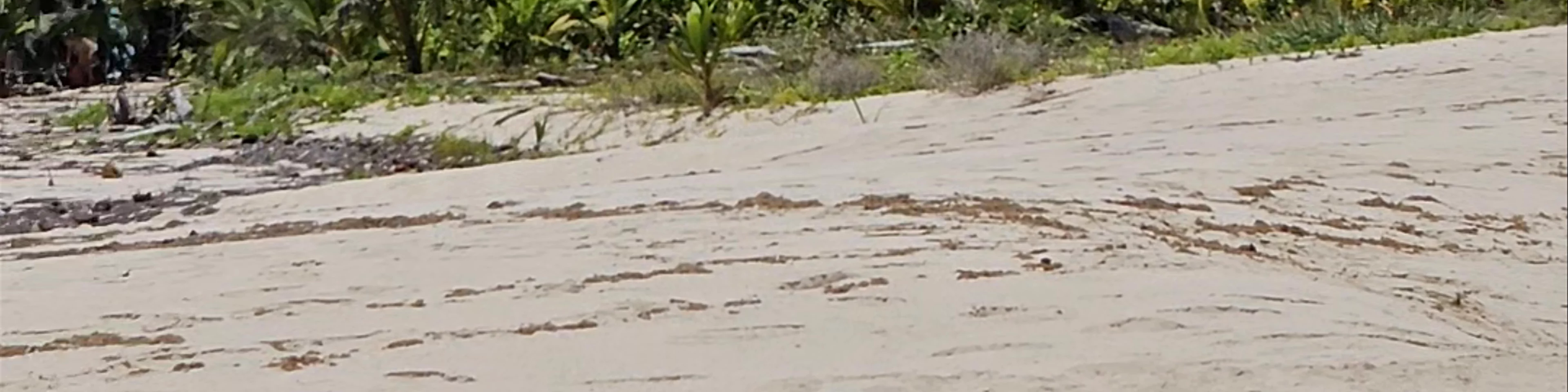 Cayo Zapatilla