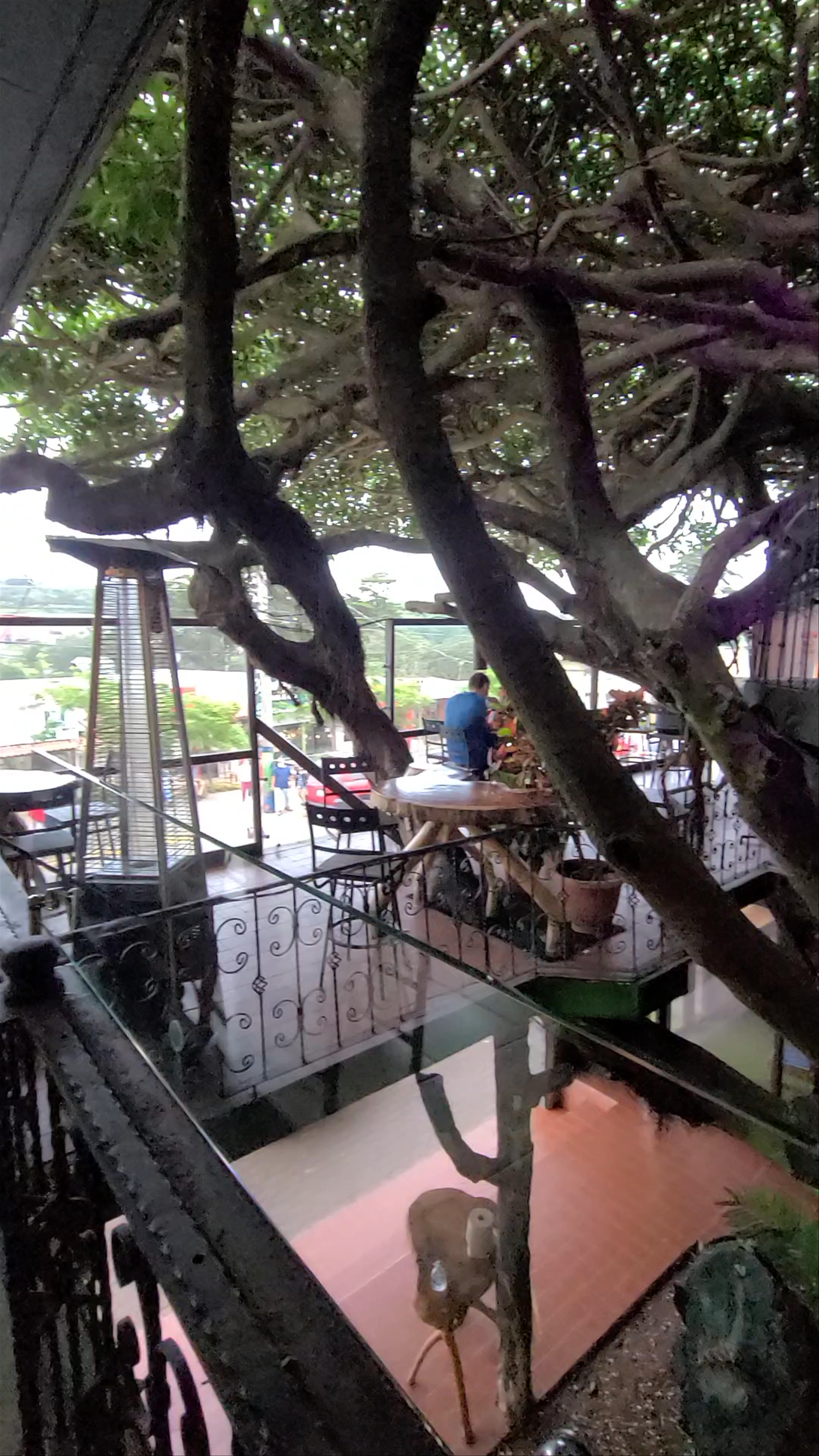 Tree House Restaurante