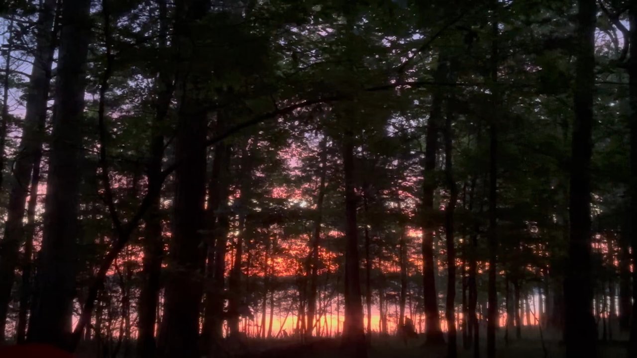 Jordan Lake - Parks Near Me - Apex, North Carolina