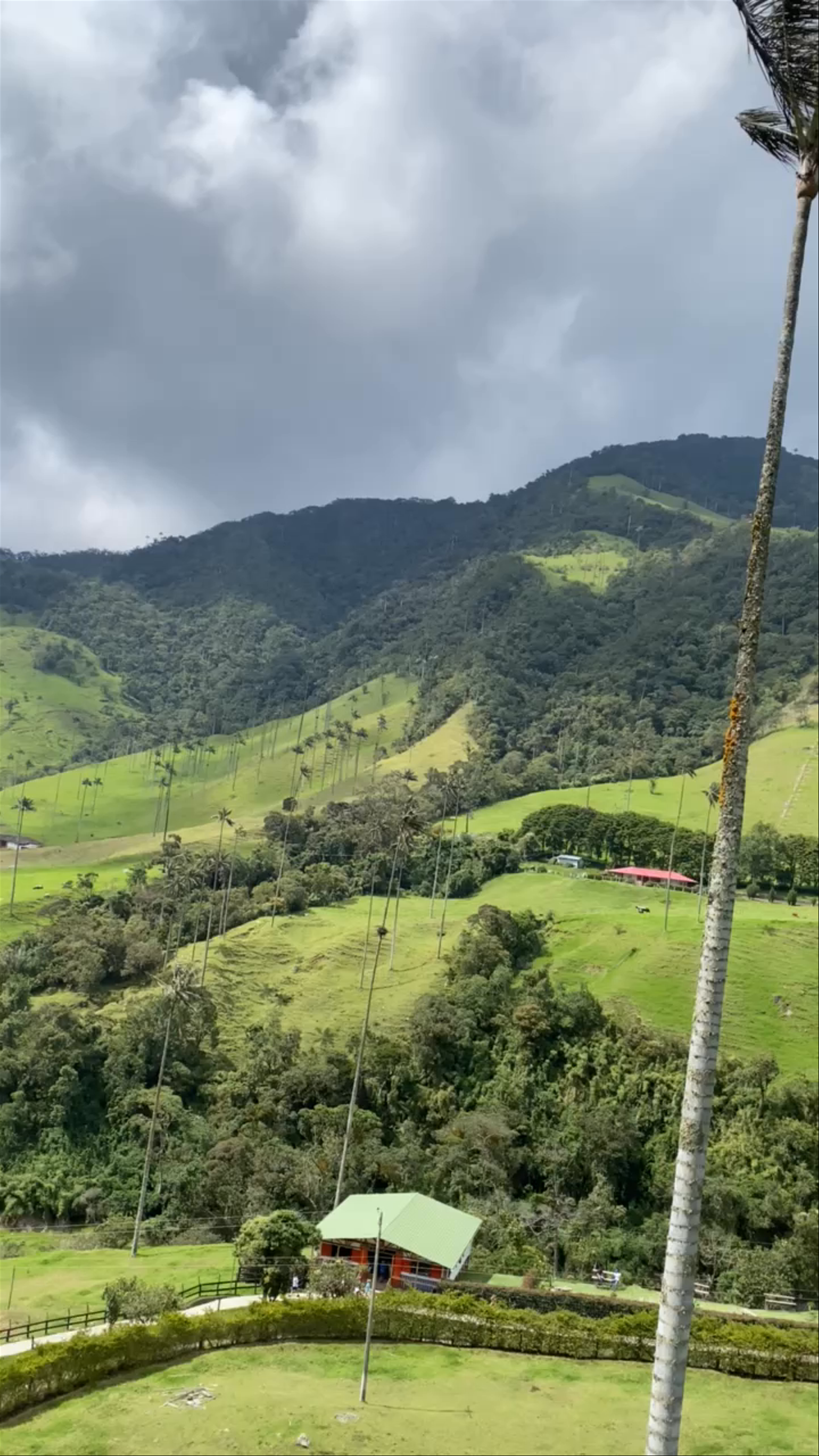 Mirador 1 Viewpoint Valle de Cocora