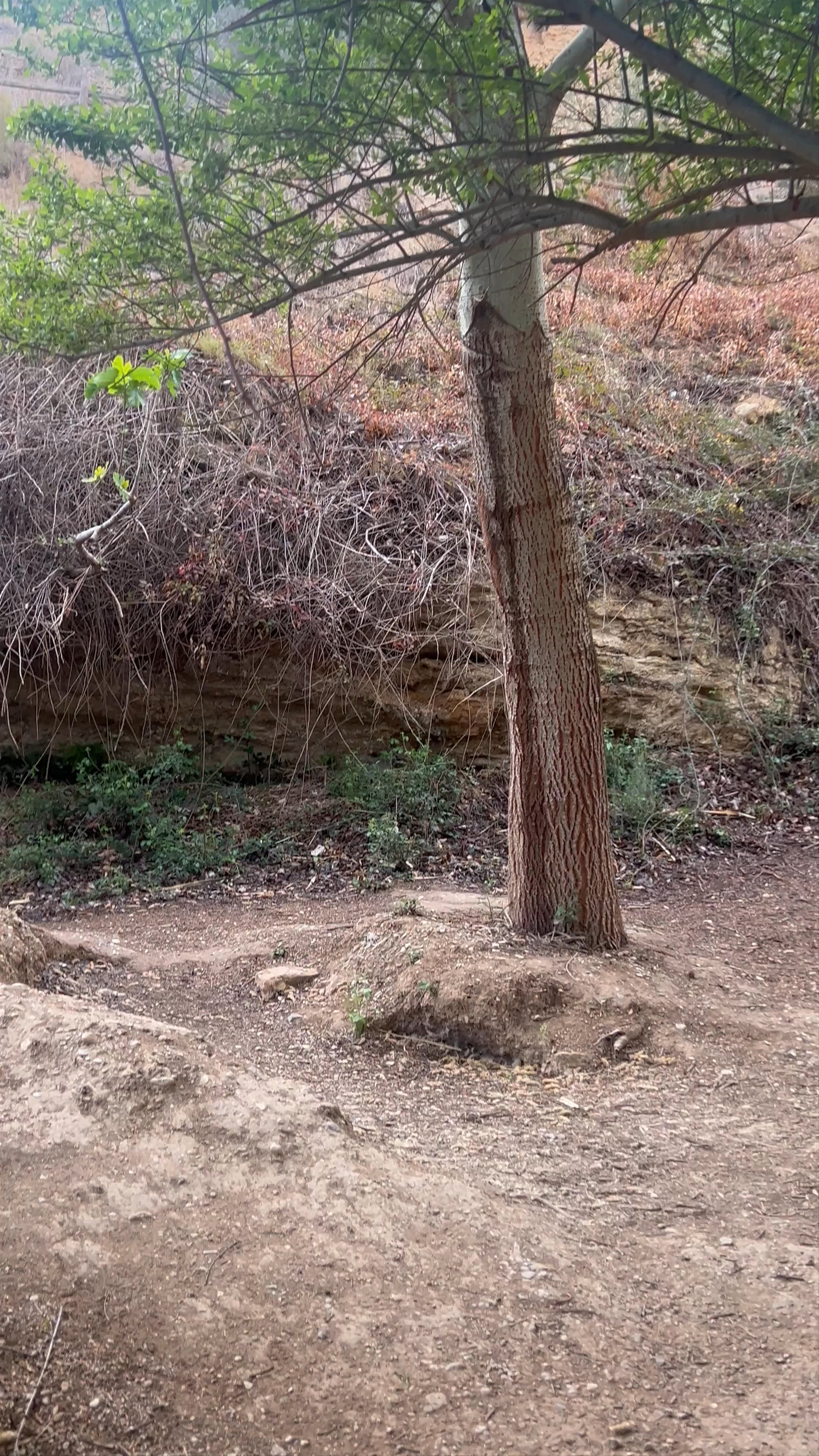 Salto Del Usero