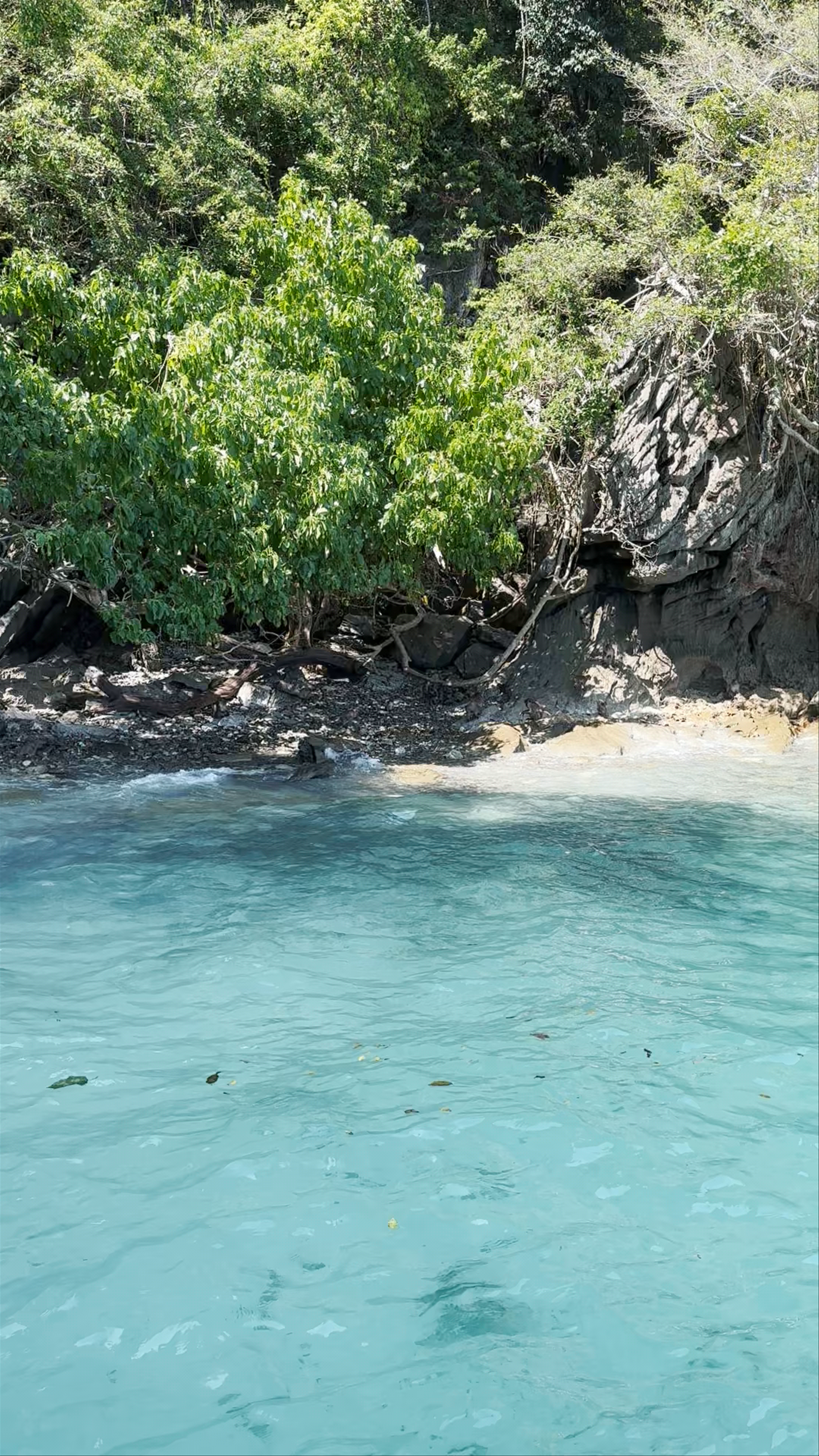 Monkey Beach
