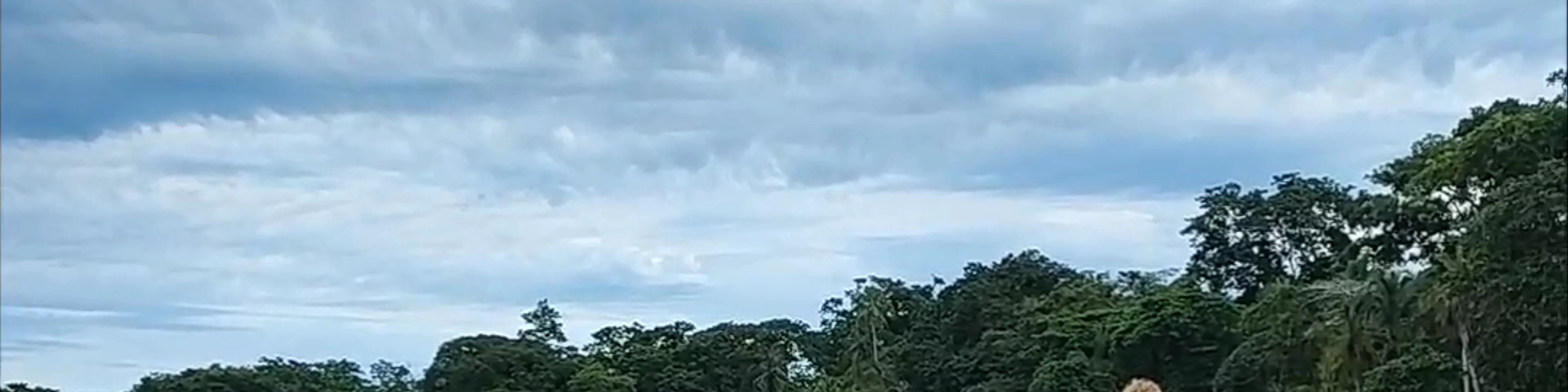 Jaguar Rescue Center