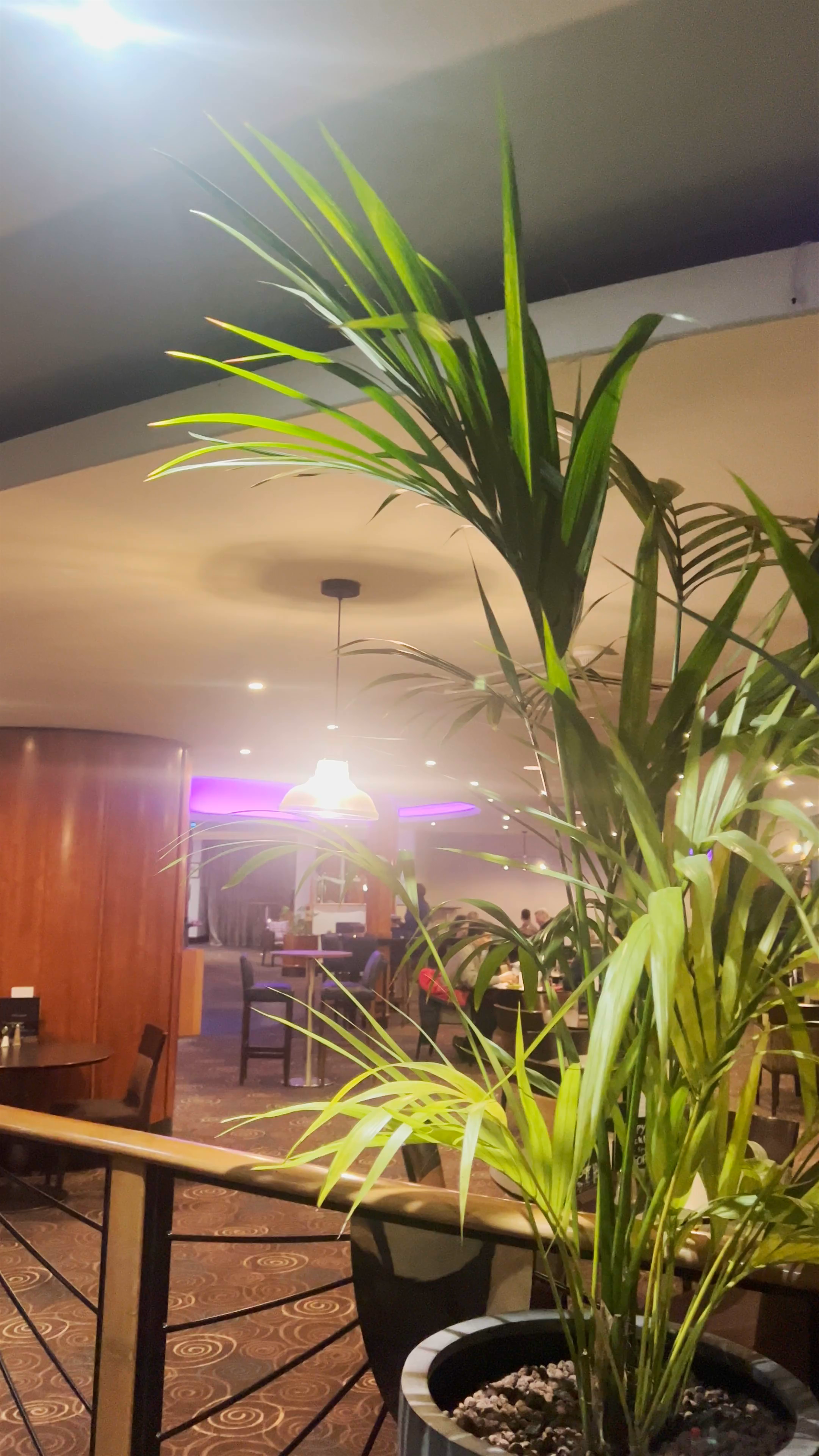 Evening Ambience at Mercure Hotel, Manchester