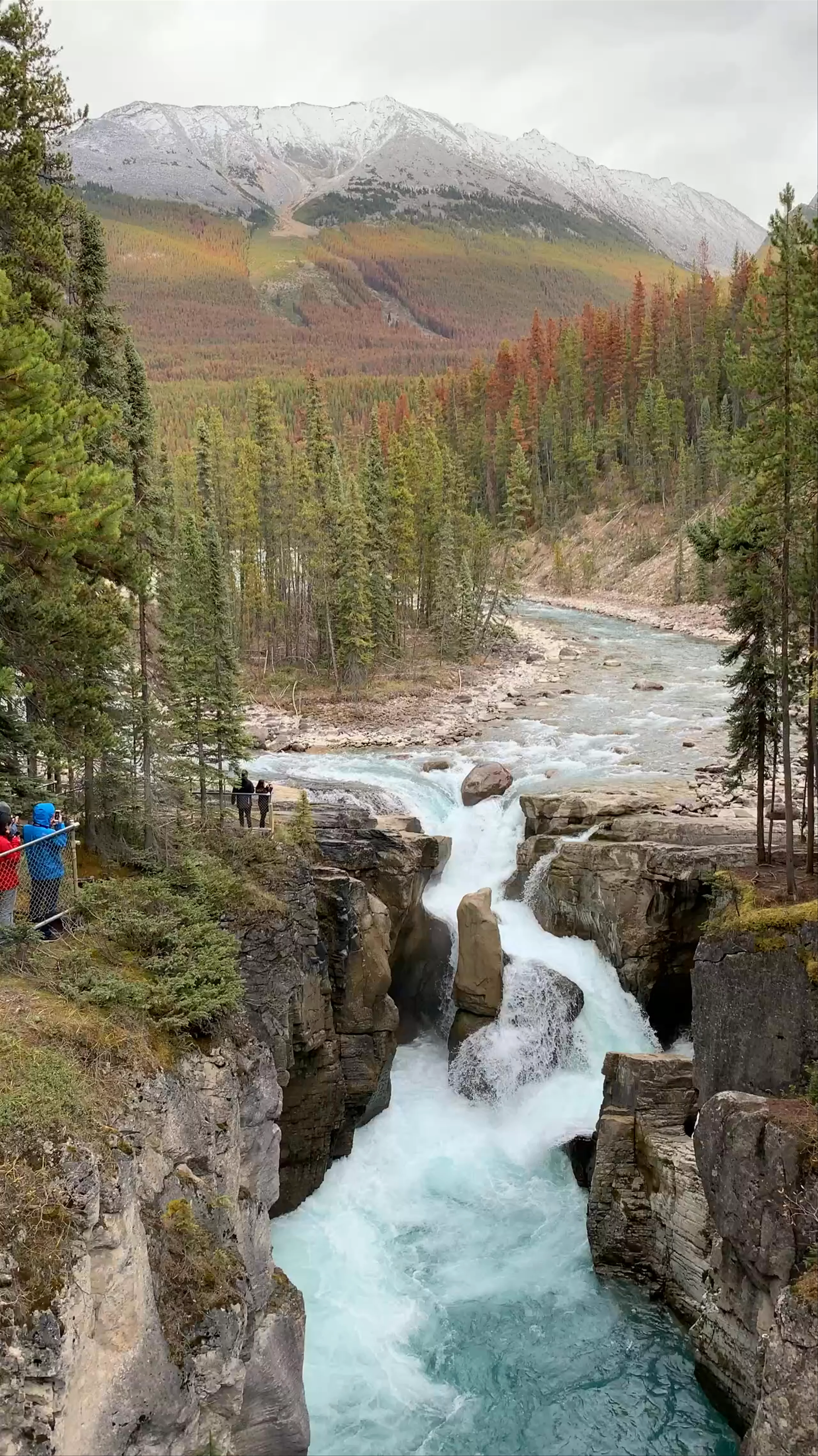 Sunwapta Falls