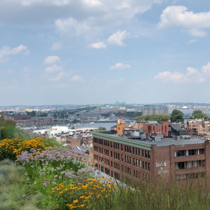 One Canal - Rooftop view of Boston on One Canal - Apartments Near Me - Boston, Massachusetts