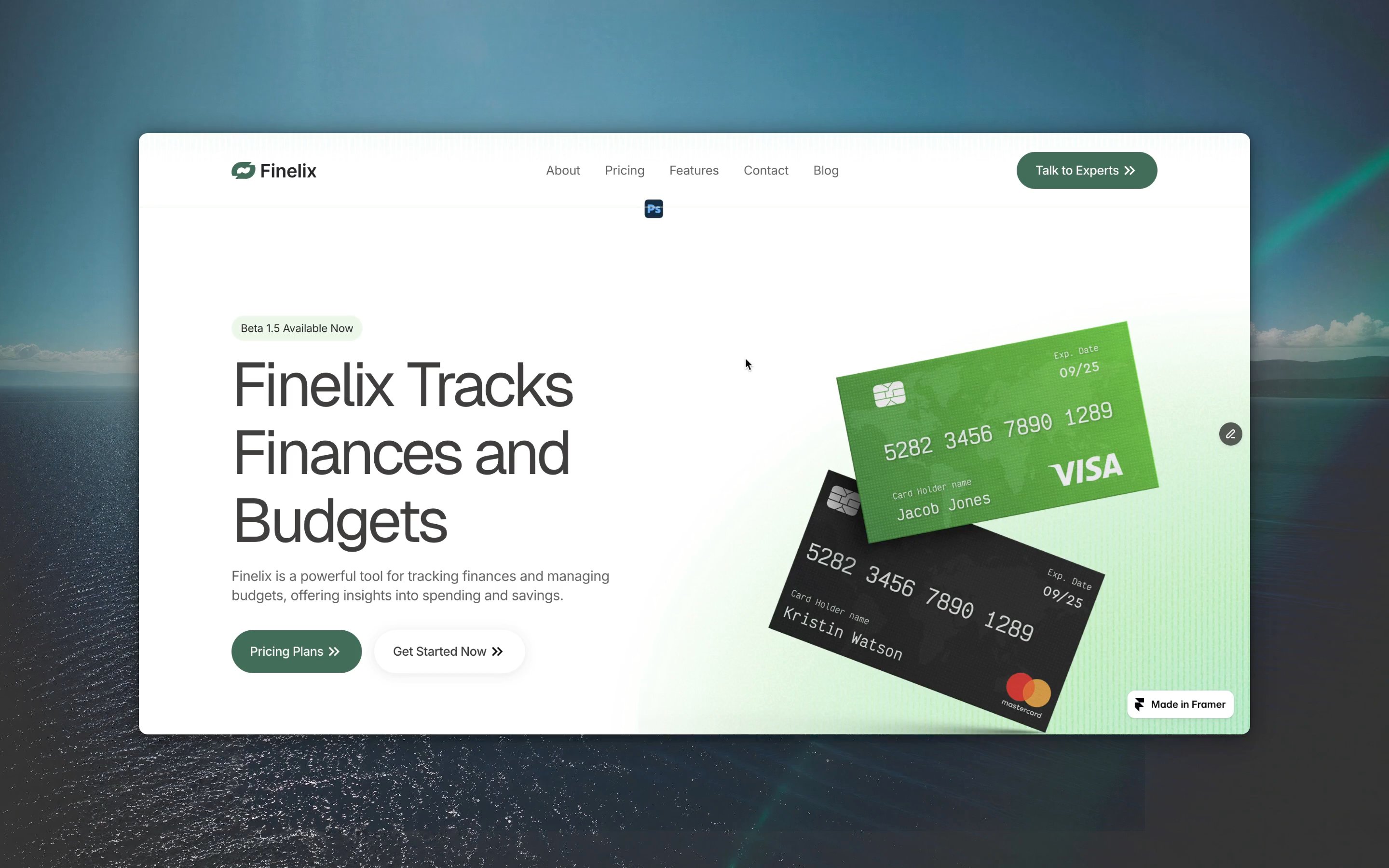 Finelix