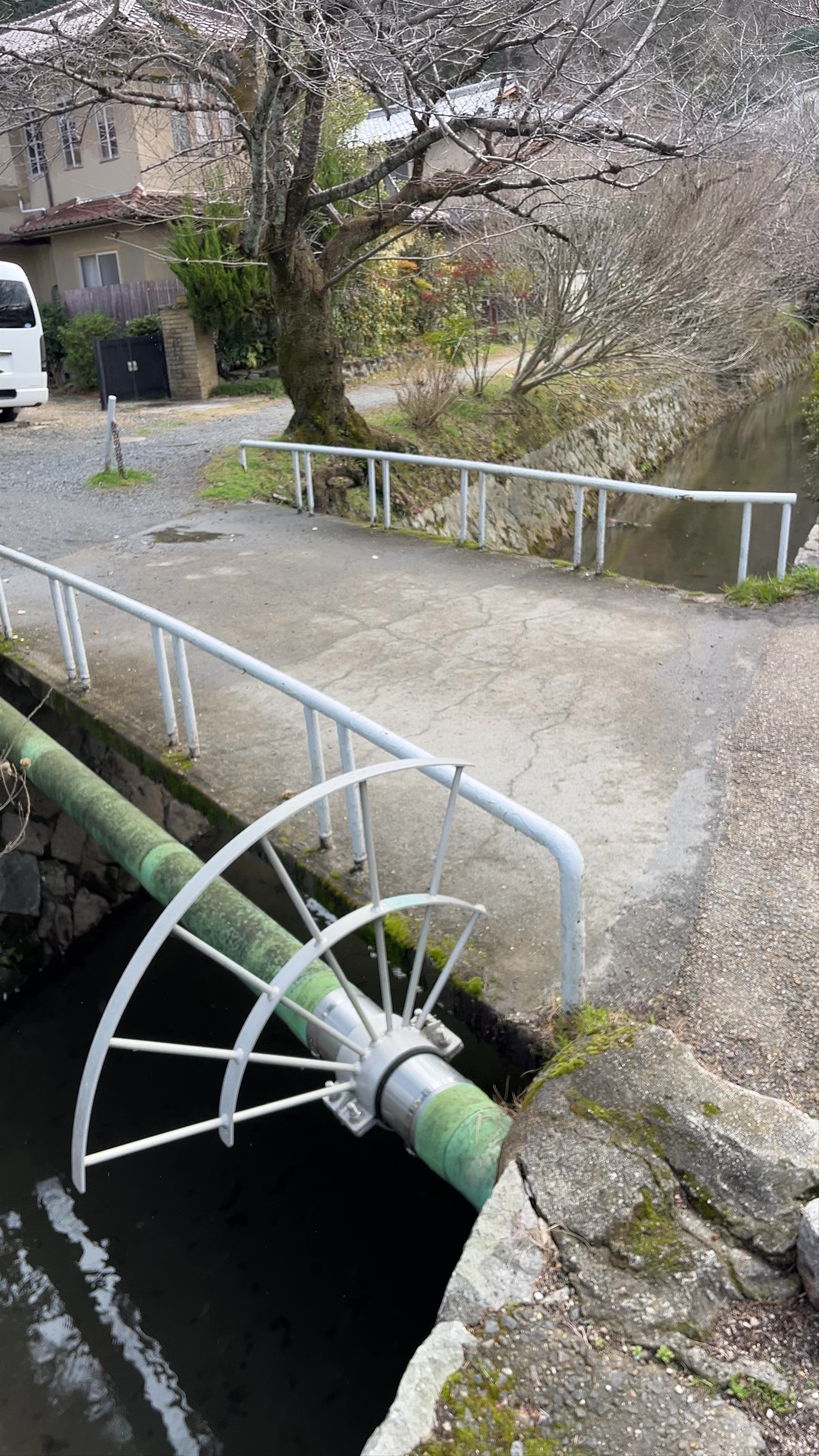 Philosopher's Path: Serene Winter Walk in Kyoto