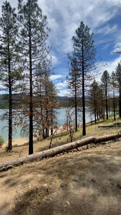 Frenchman Lake Recreation Area - Frenchman Lake - Campgrounds Near Me - Chilcoot, California