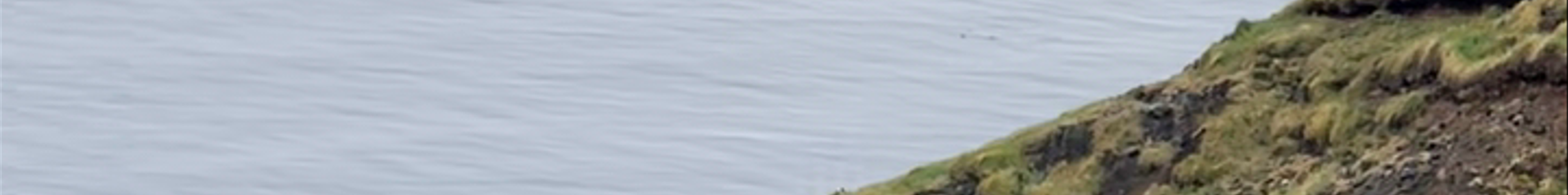 Tours & experiences in Norðurland eystra