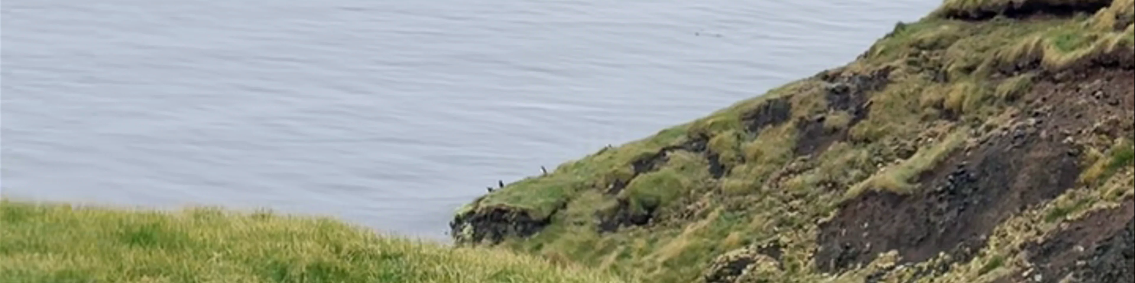 Grímsey