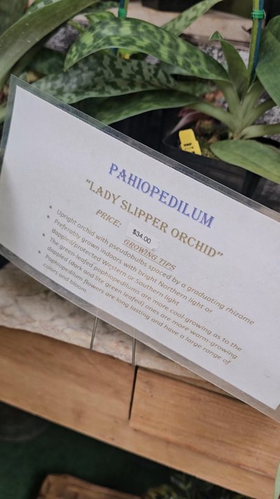 Shelldance Orchid Gardens - 6/22/25 - Nurseries & Gardening Near Me - Pacifica, California