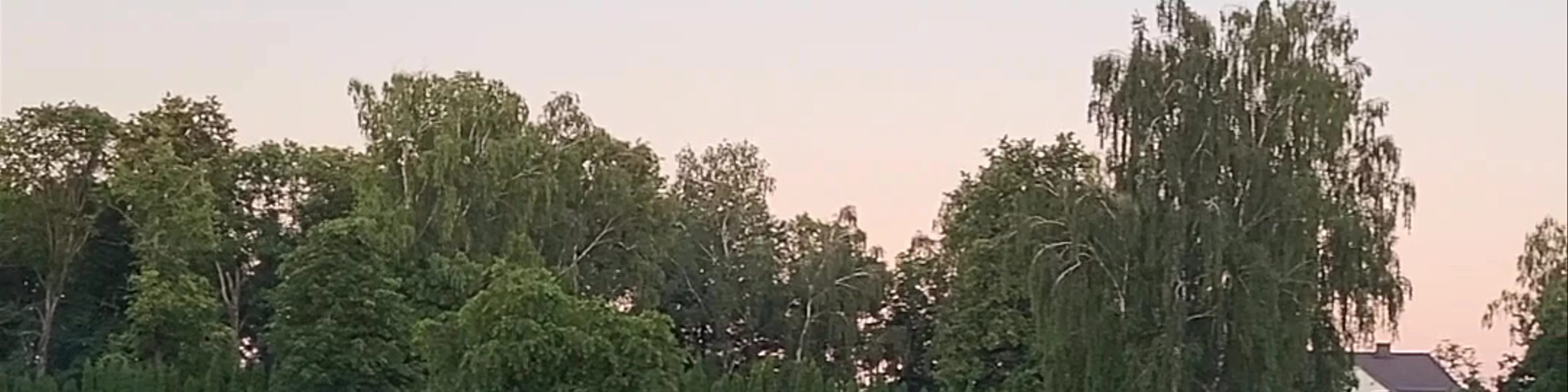 Slėnis