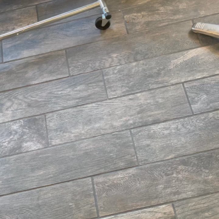 Dinosaurs - Video of interior - Vietnamese Near Me - San Francisco, California