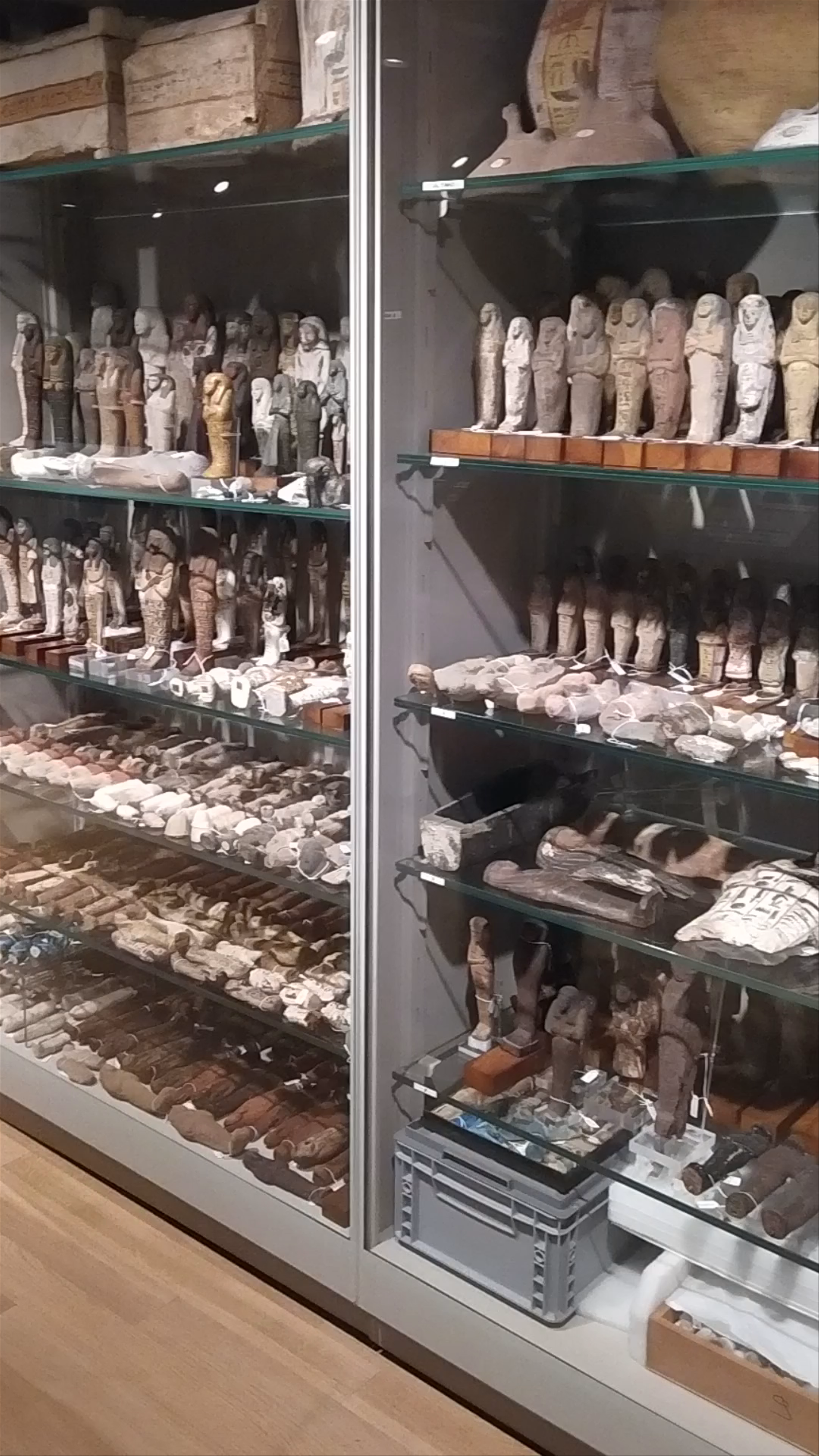 Egyptian Museum