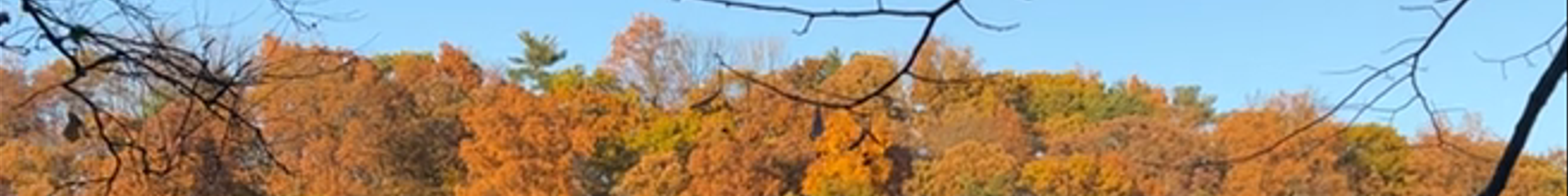 Tours & experiences in Ithaca
