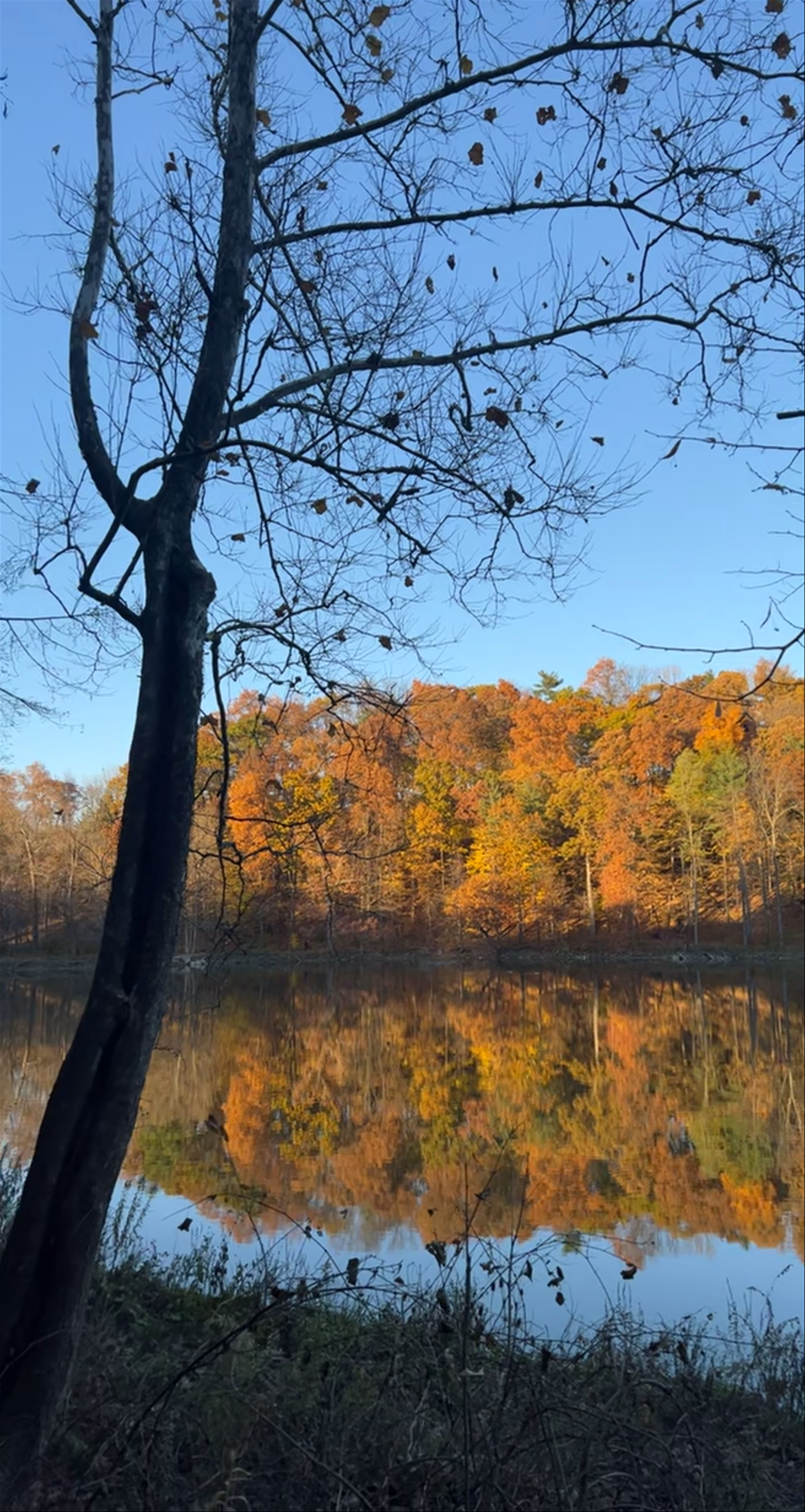 Beebe Lake