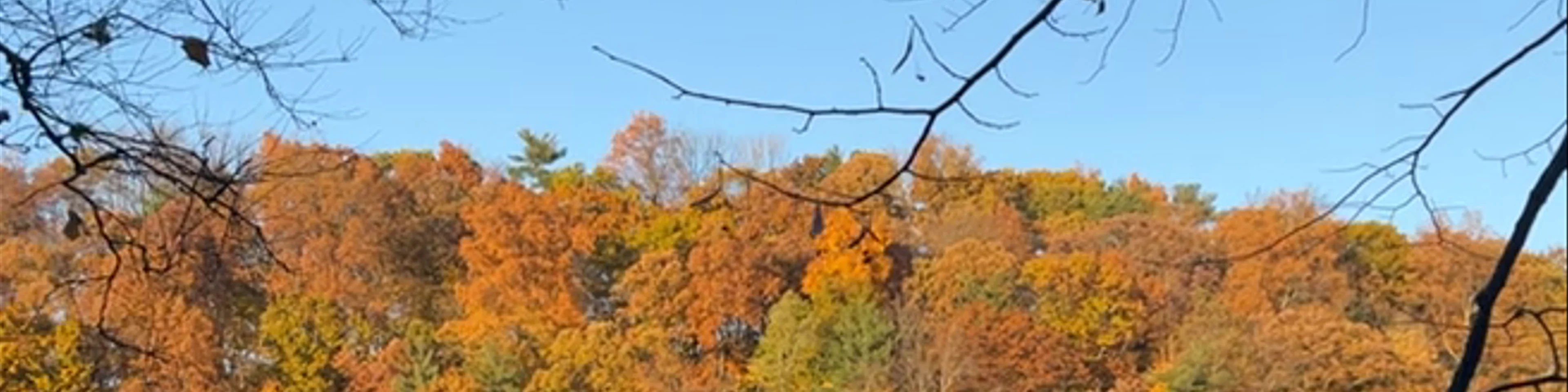 Beebe Lake