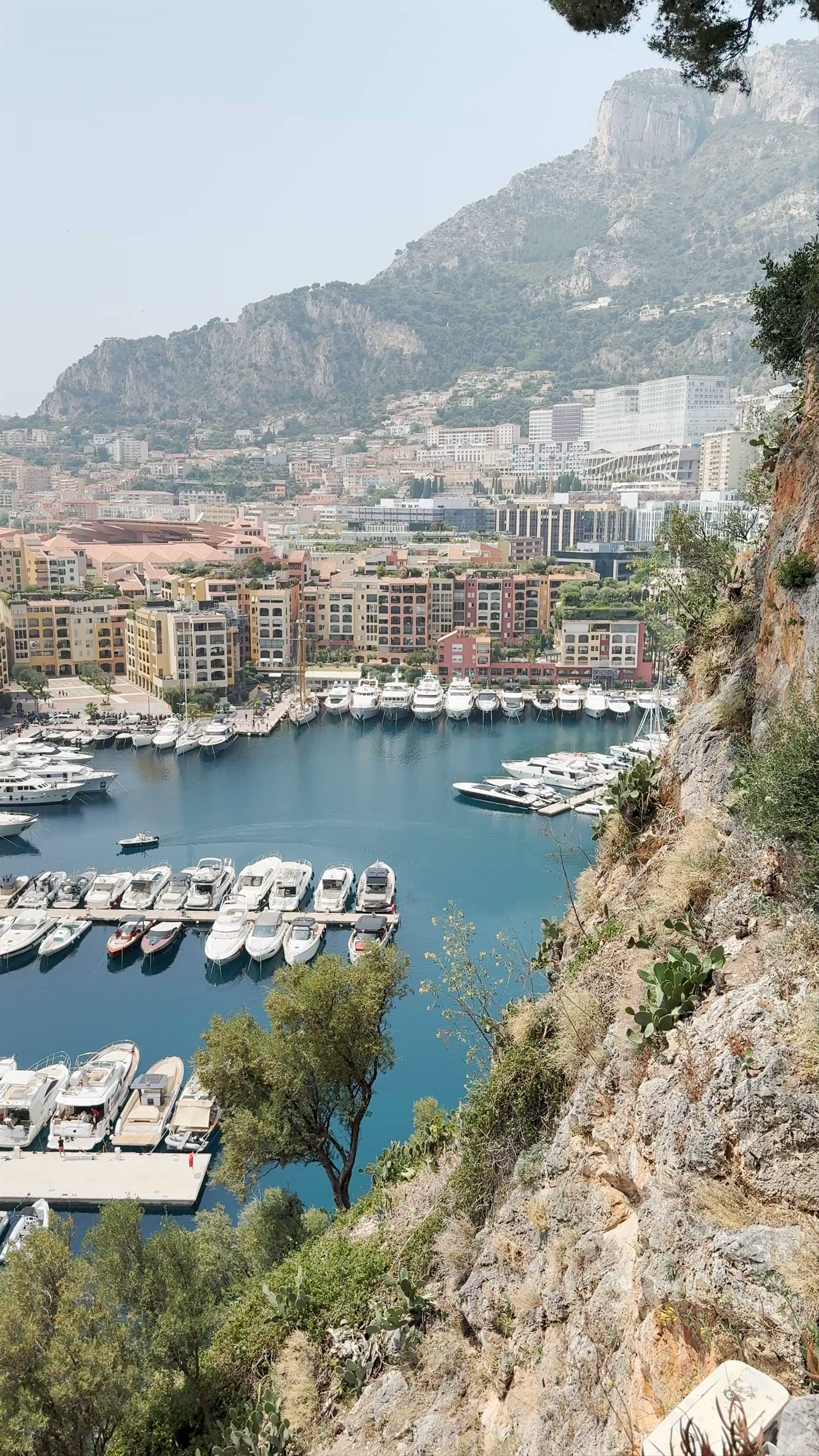 Panoramic view of Monaco
