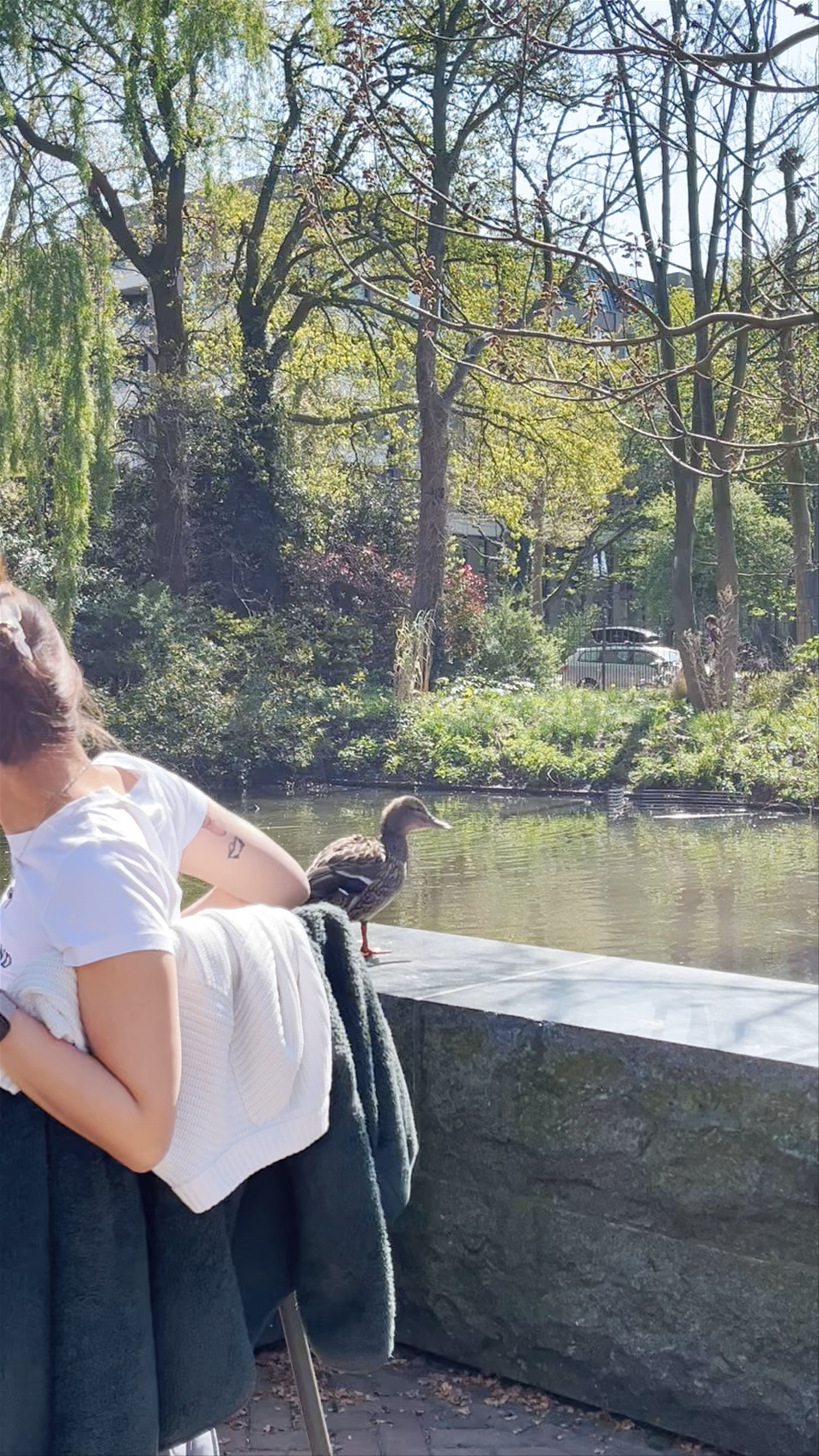 Sunny Spring Moments at Artisvijver and Plaatbruggen, Amsterdam