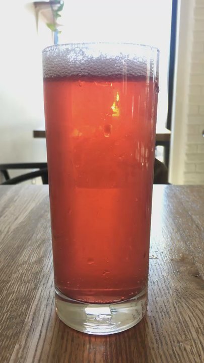 SONDER Coffee & Tea - kombucha - Coffee & Tea Near Me - Denver, Colorado