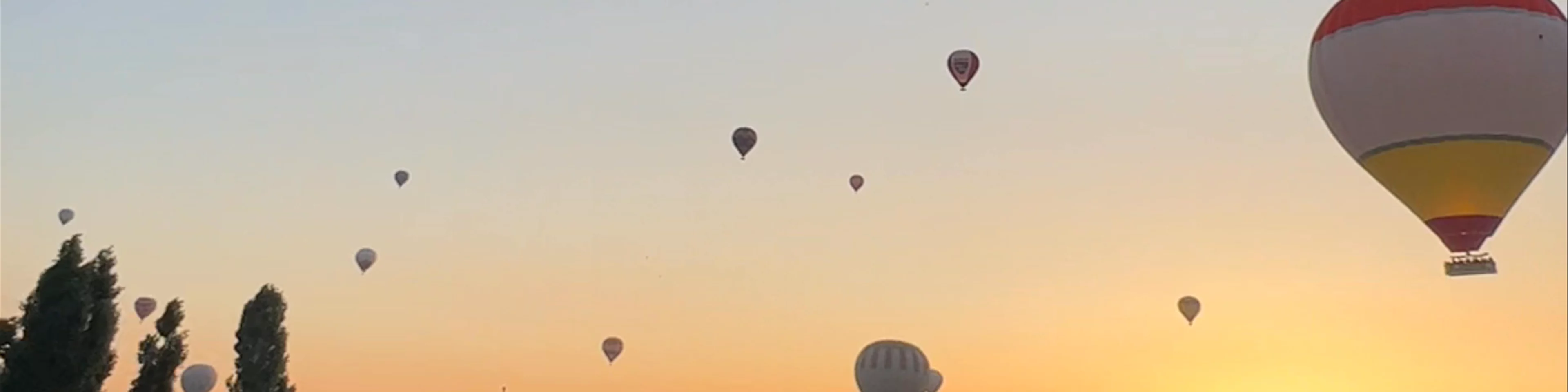 Avcılar