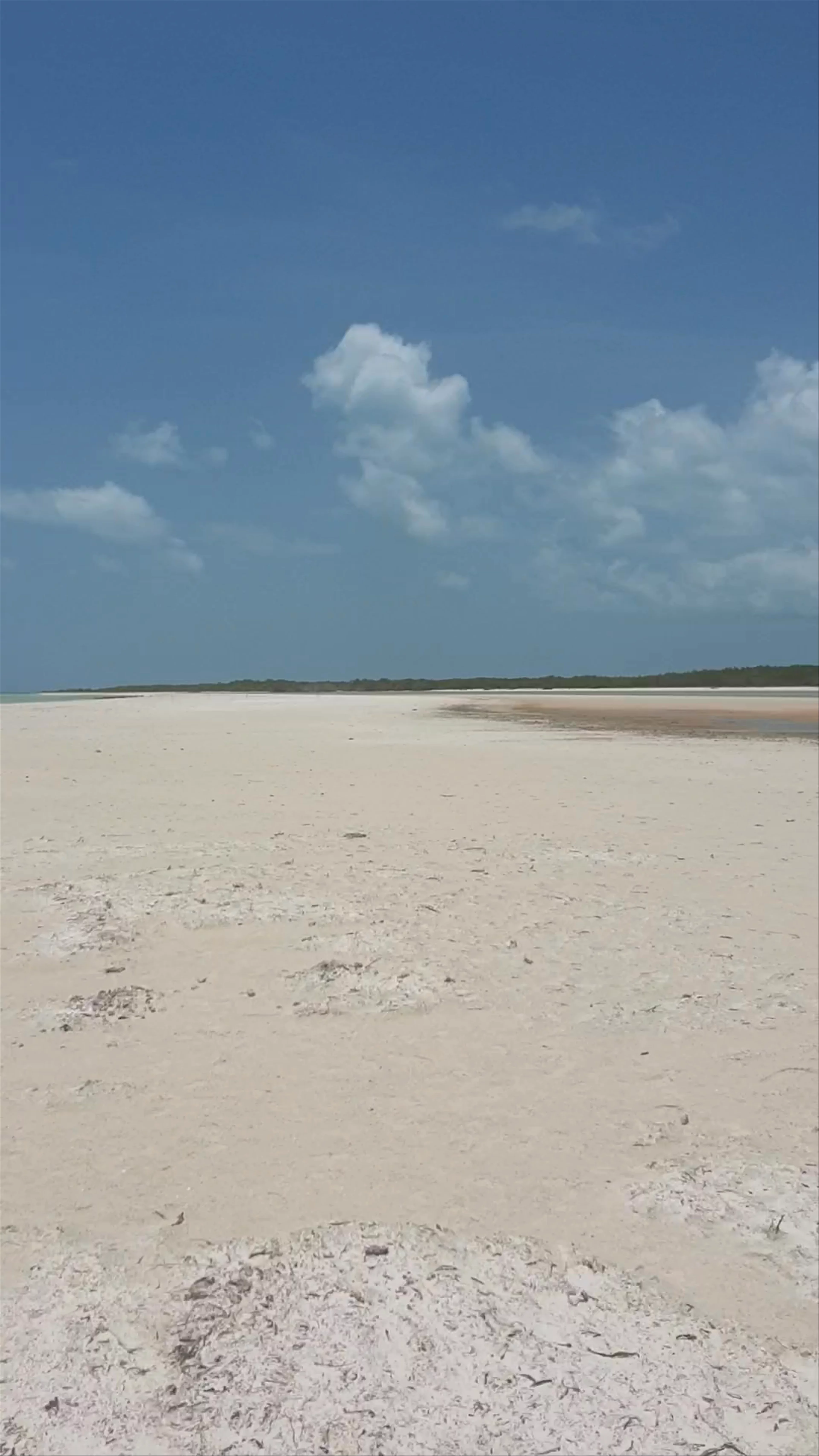 Punta Mosquito
