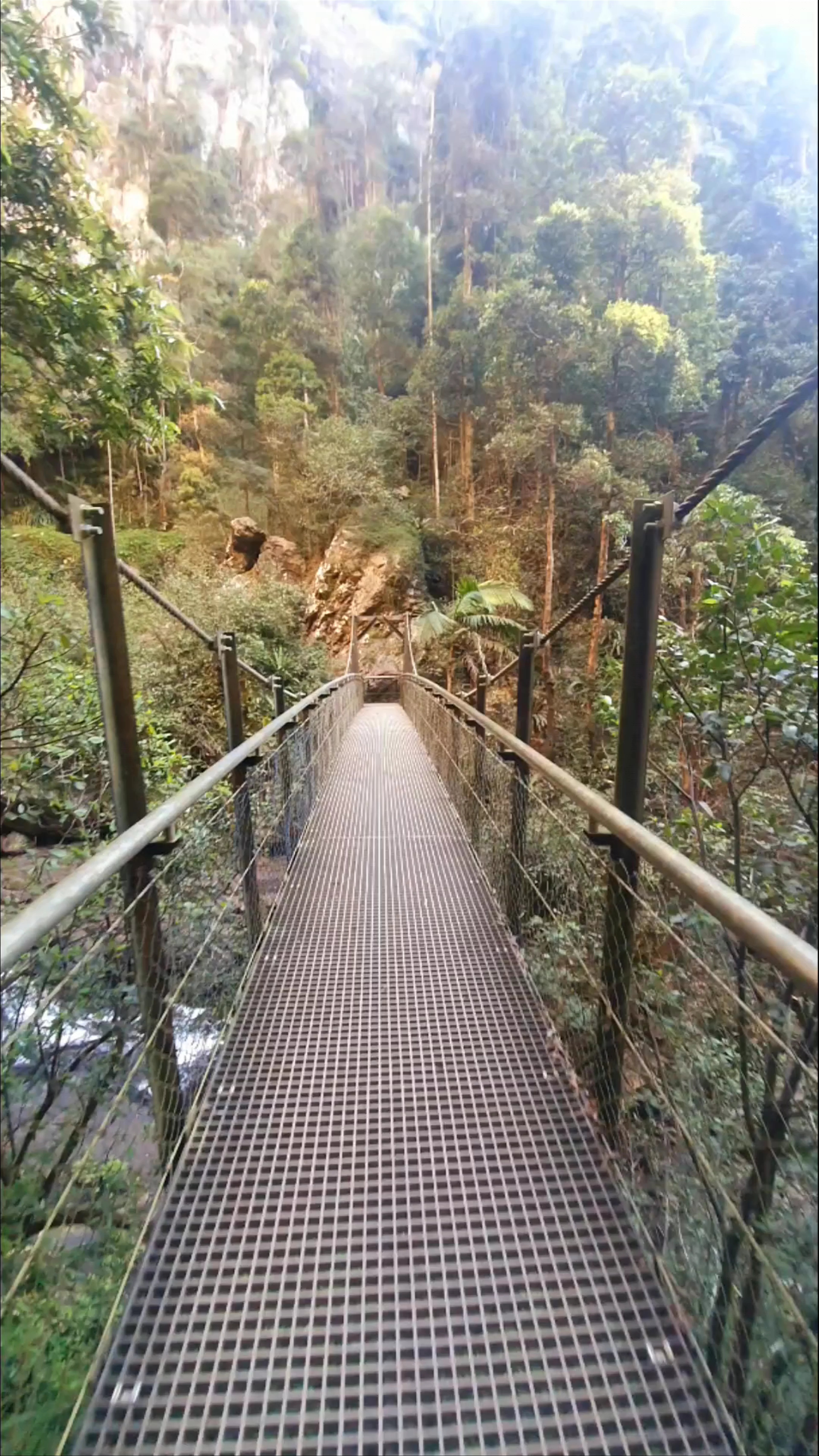 Purling Brook Falls, Springbrook National Park