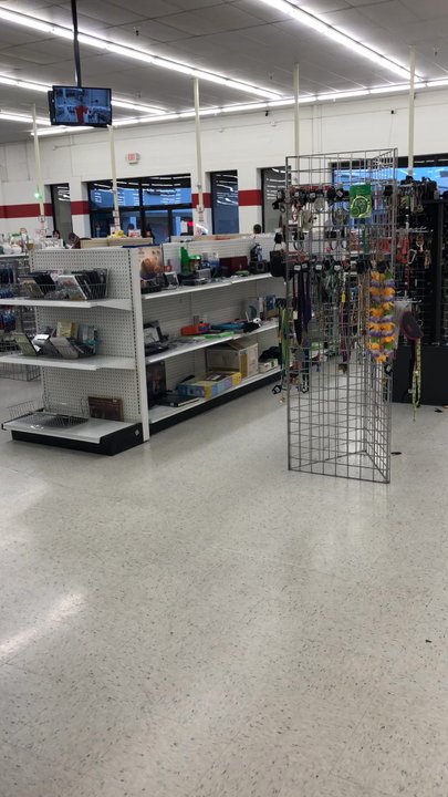 Ohio Thrift Stores - Quick pan of the store. - Thrift Stores Near Me - Columbus, Ohio