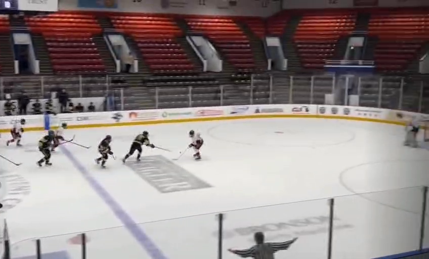 Nikolai Medved's Mind-Blowing Breakaway Glove Save