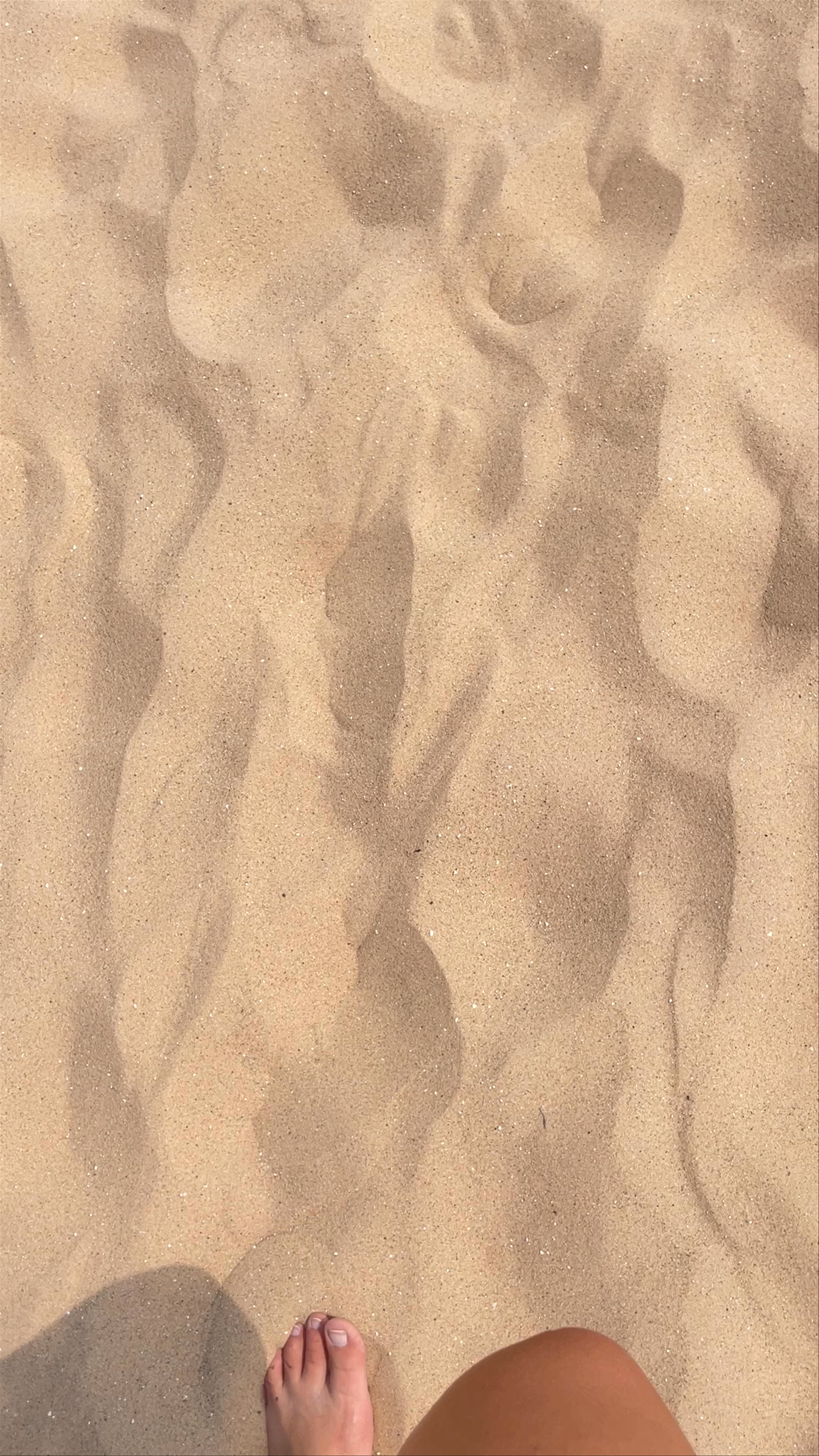 Sleeping Bear Dunes National Lakeshore