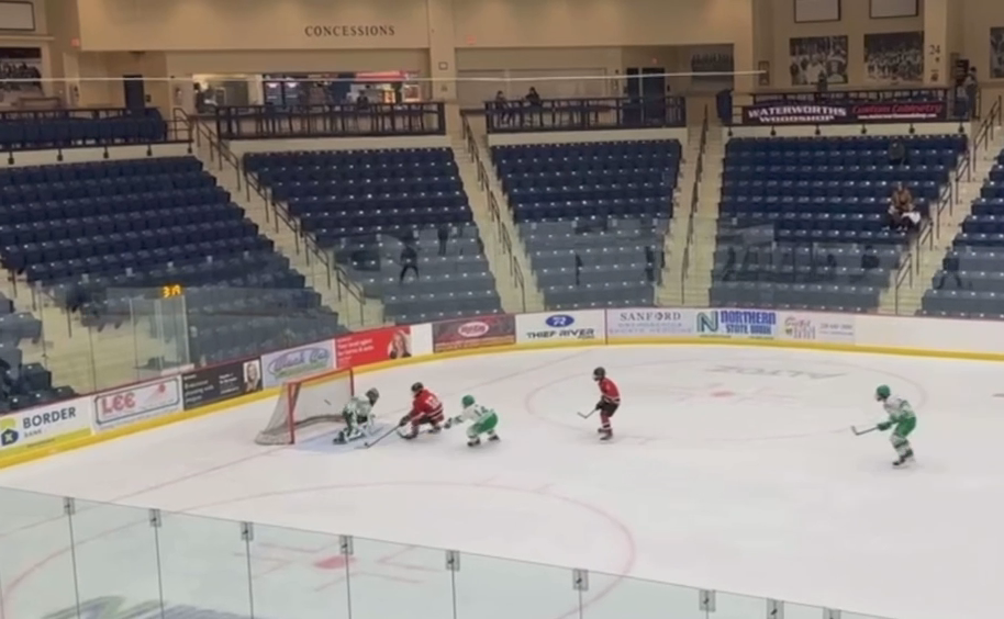 Bauer Kingbird's Breakaway Save: A Goalie Masterclass