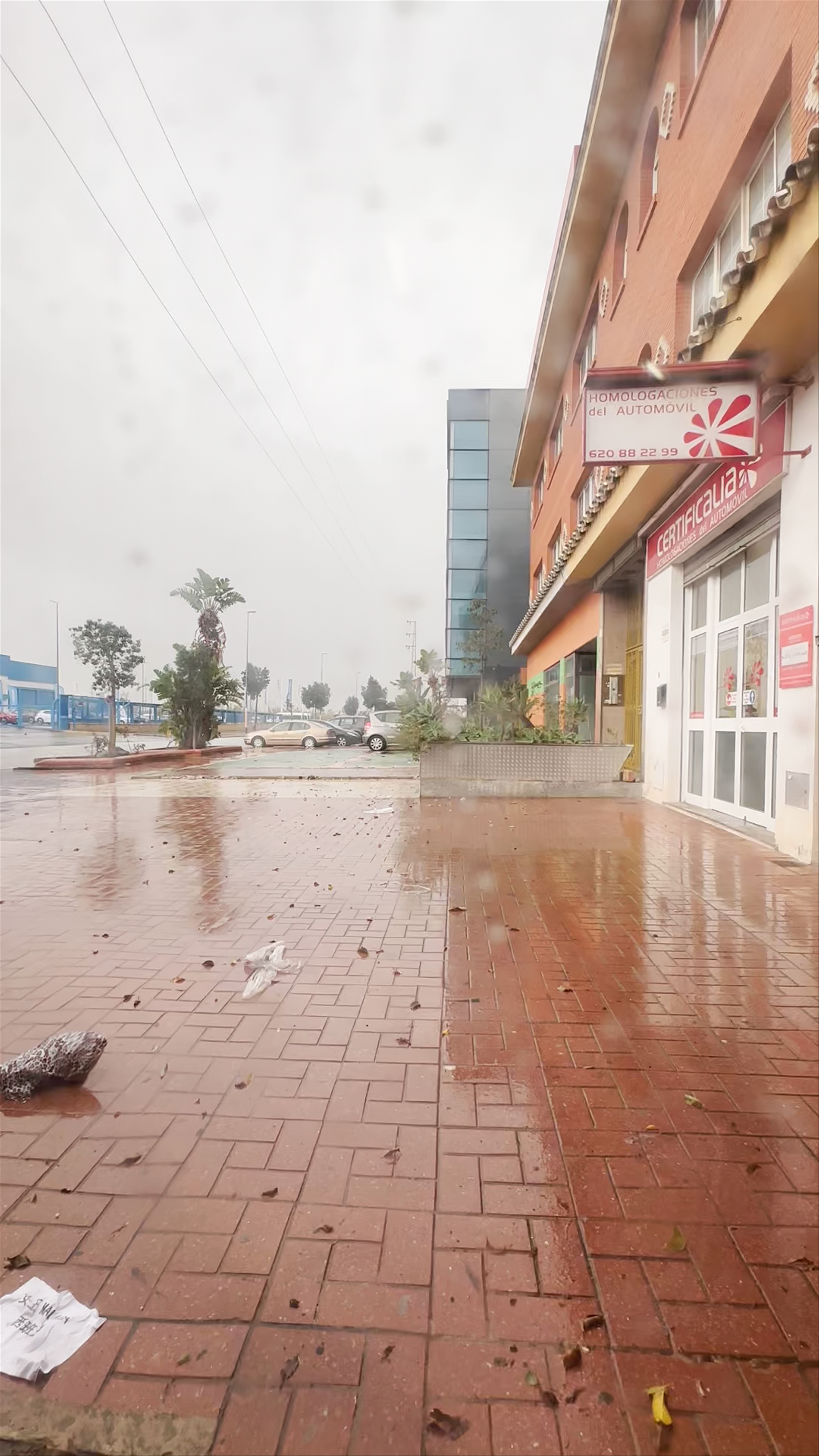 Restaurante Los Jarales