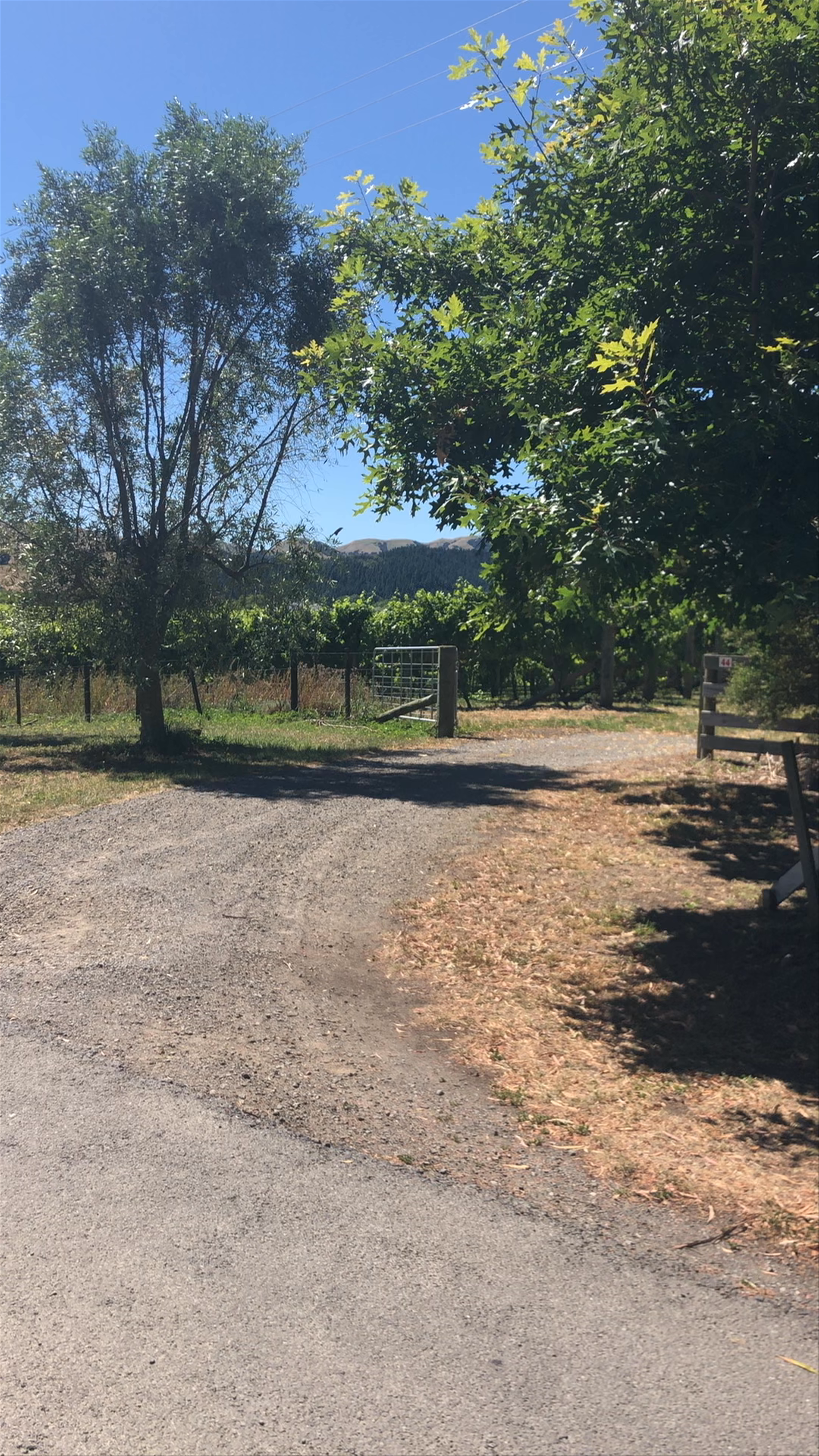 Haythornthwaite Wines Omarere Road