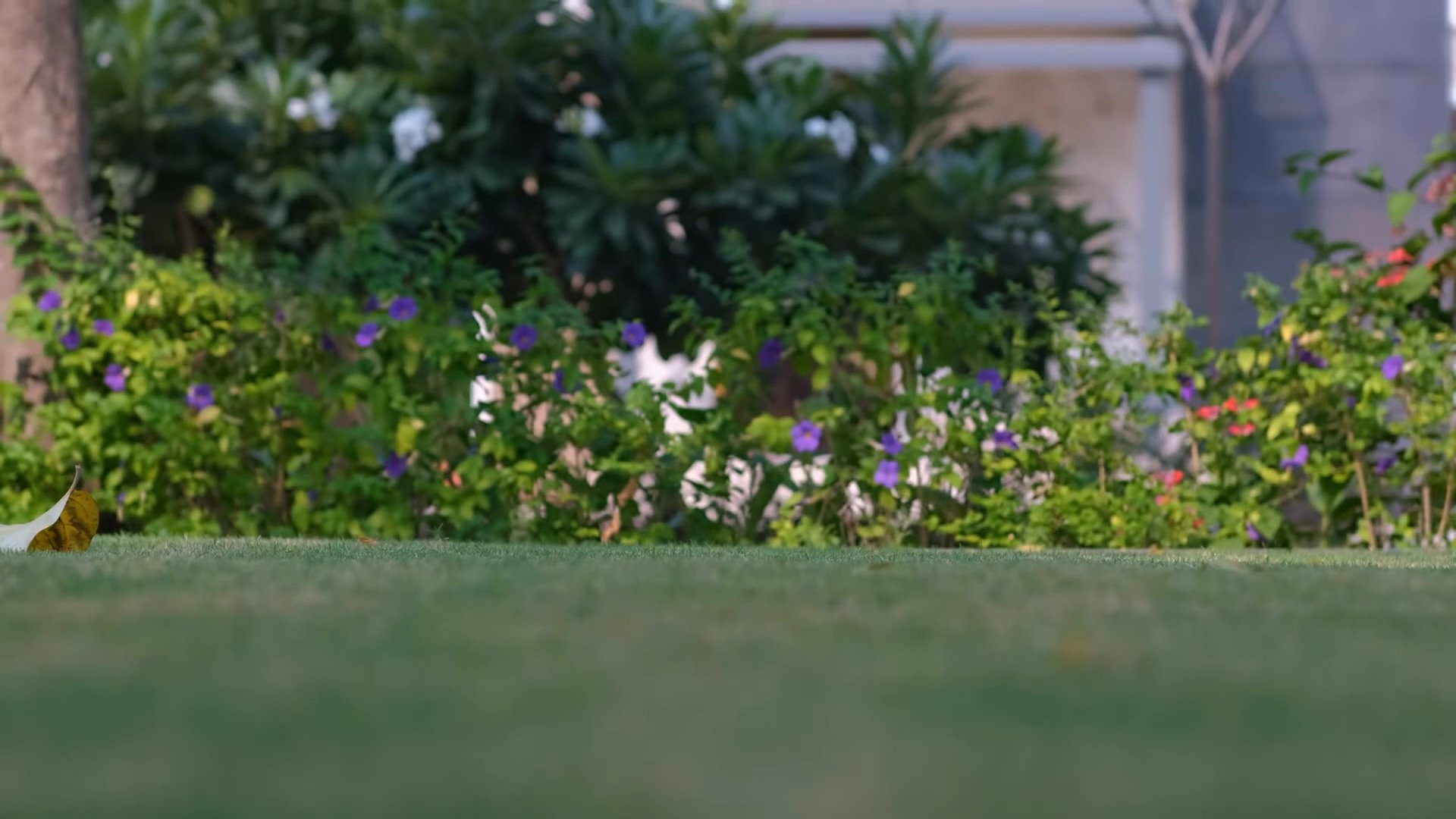 Portfolio clip by Abhishek S., Dammam videographer