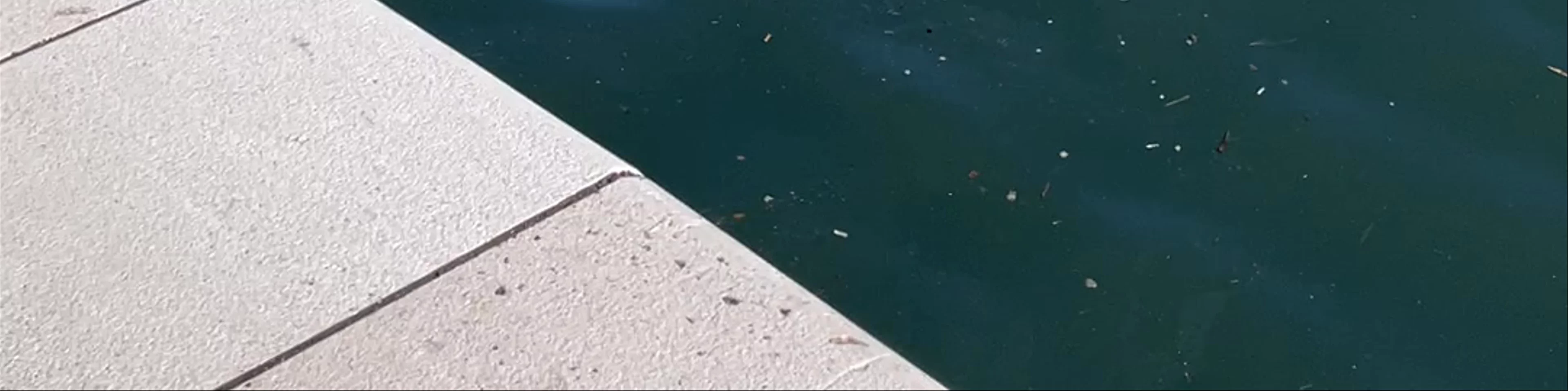 Split Harbour