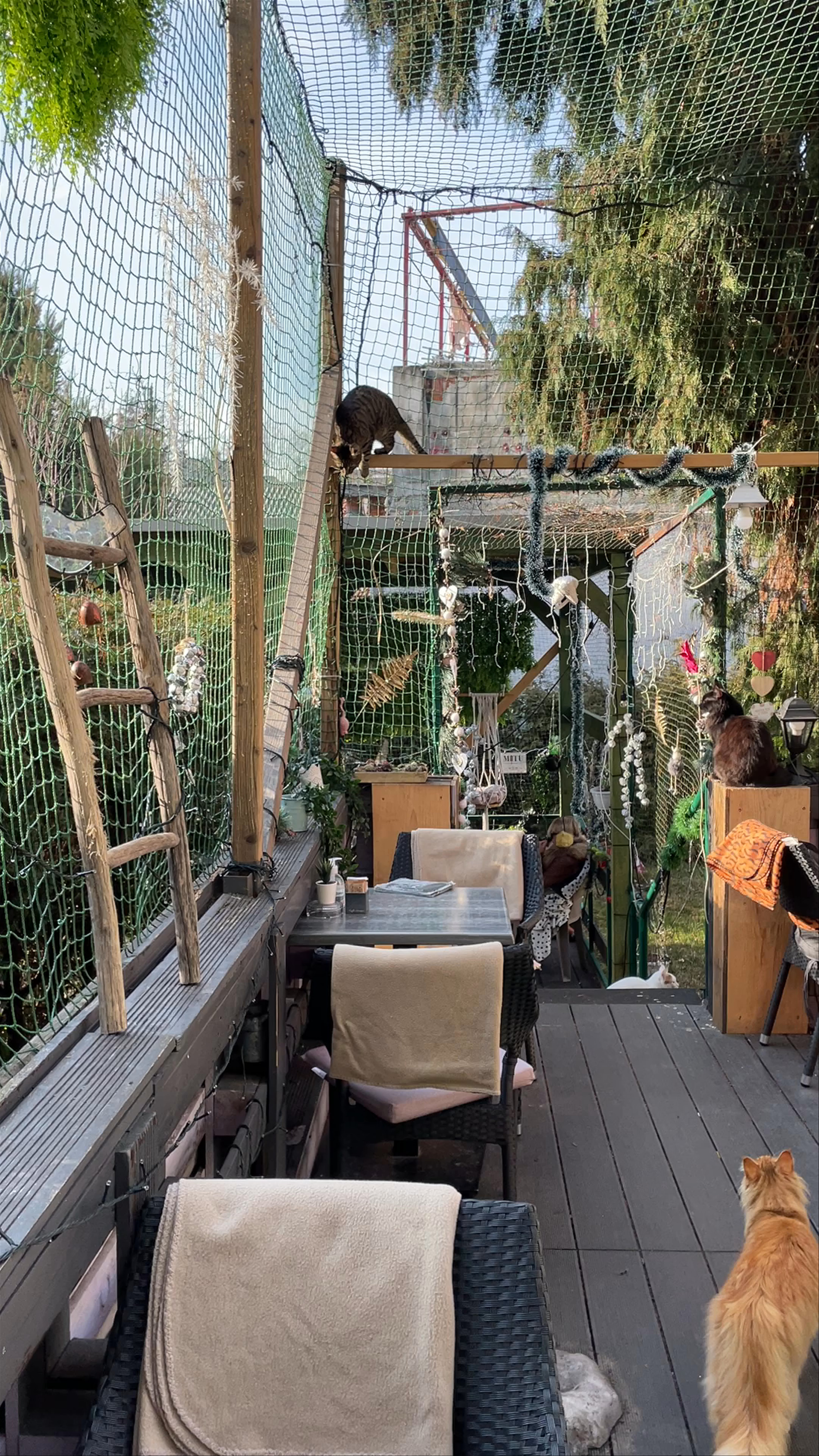 Cat Caffe Zagreb