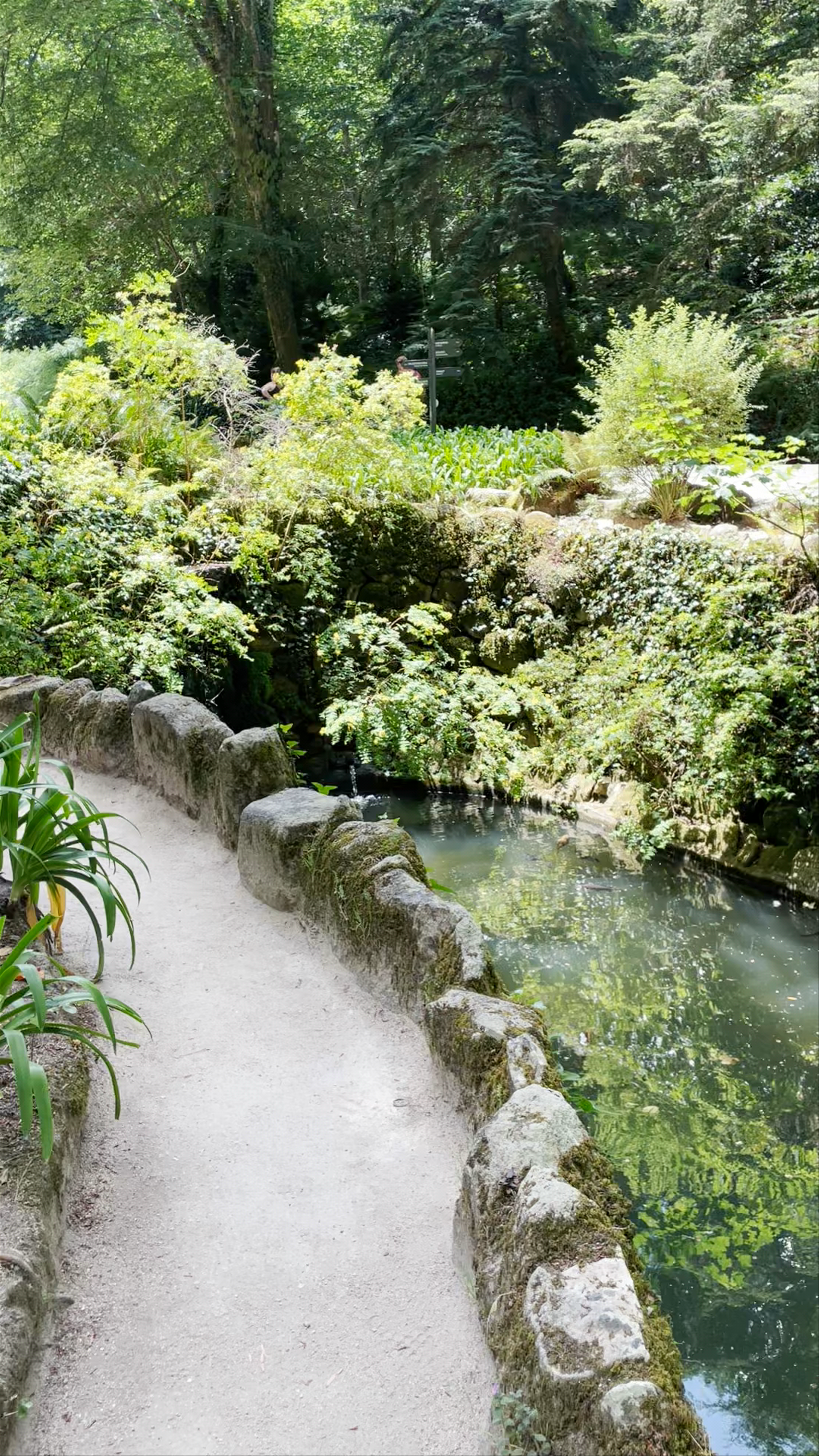 Tranquil Pathways at Parque Nacional da Pena, Sintra, Portugal
