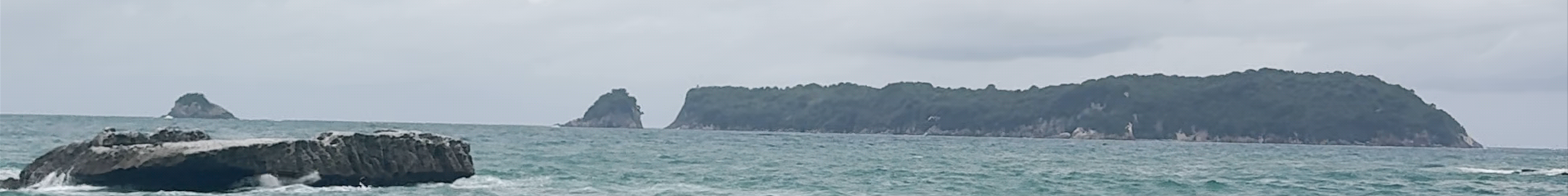 Tours & experiences in Whitianga