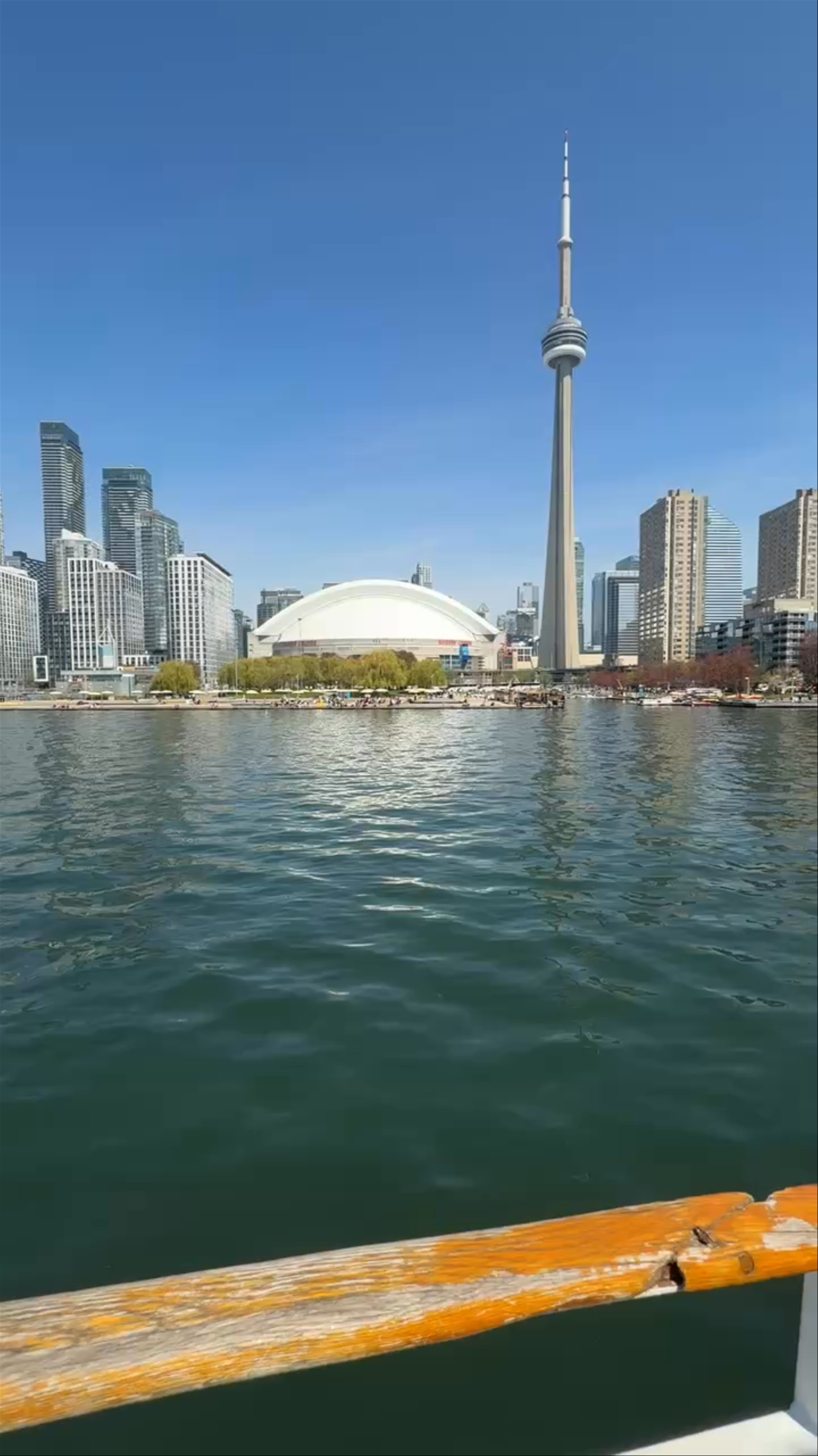 City Cruises