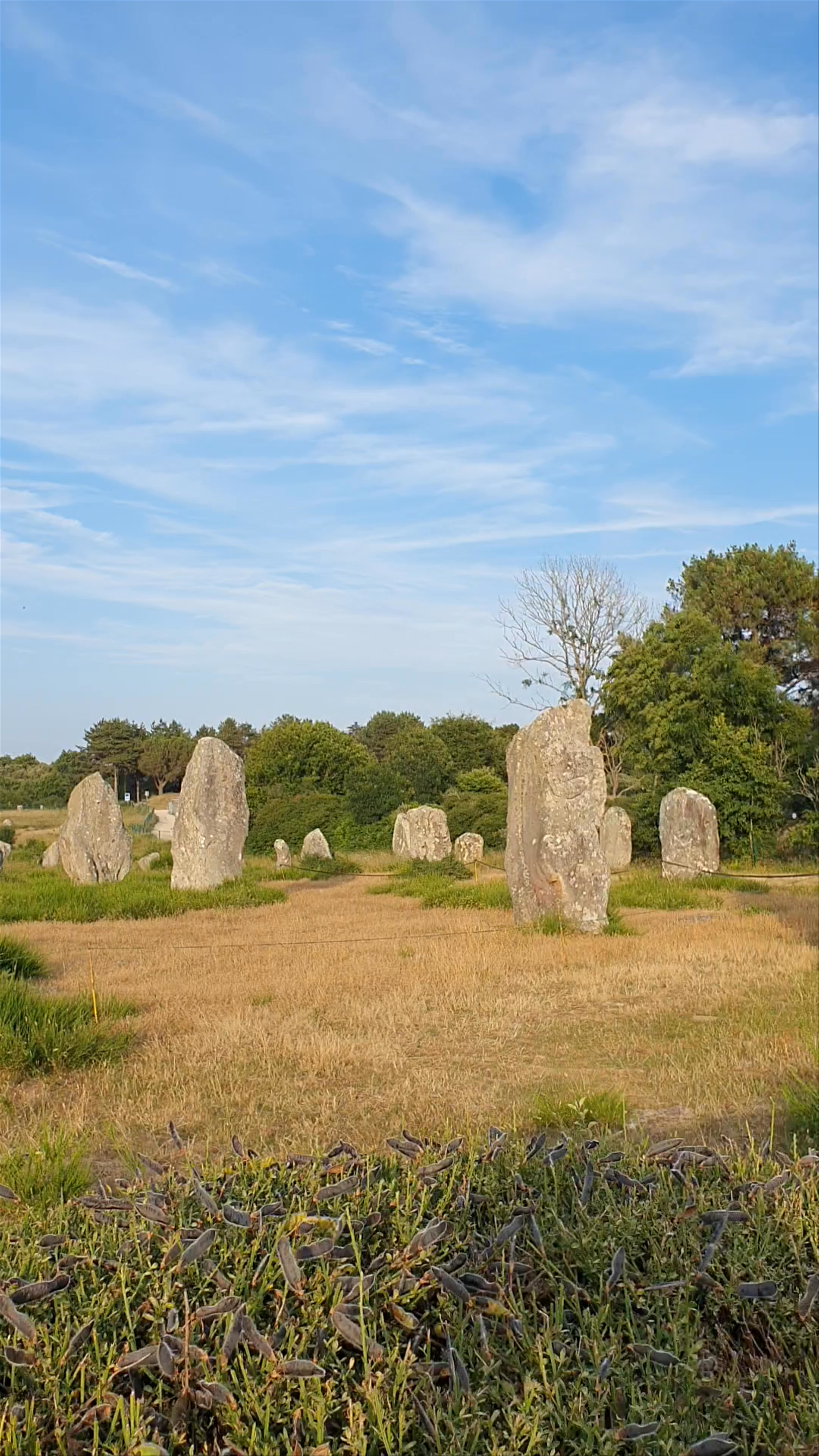 alignements du Ménec