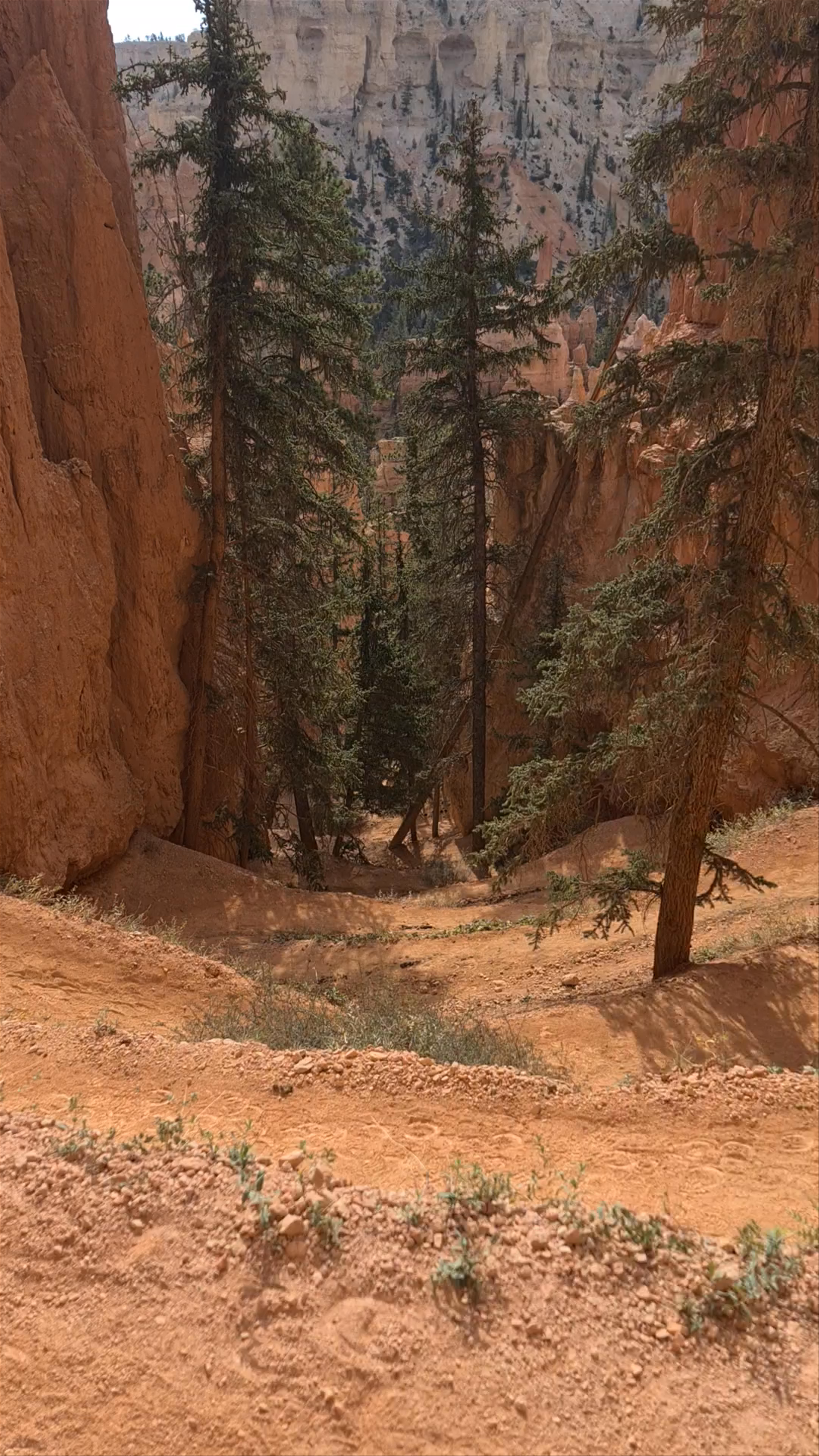 Peek-A-Boo Trailhead Adventure at Bryce Point, Utah