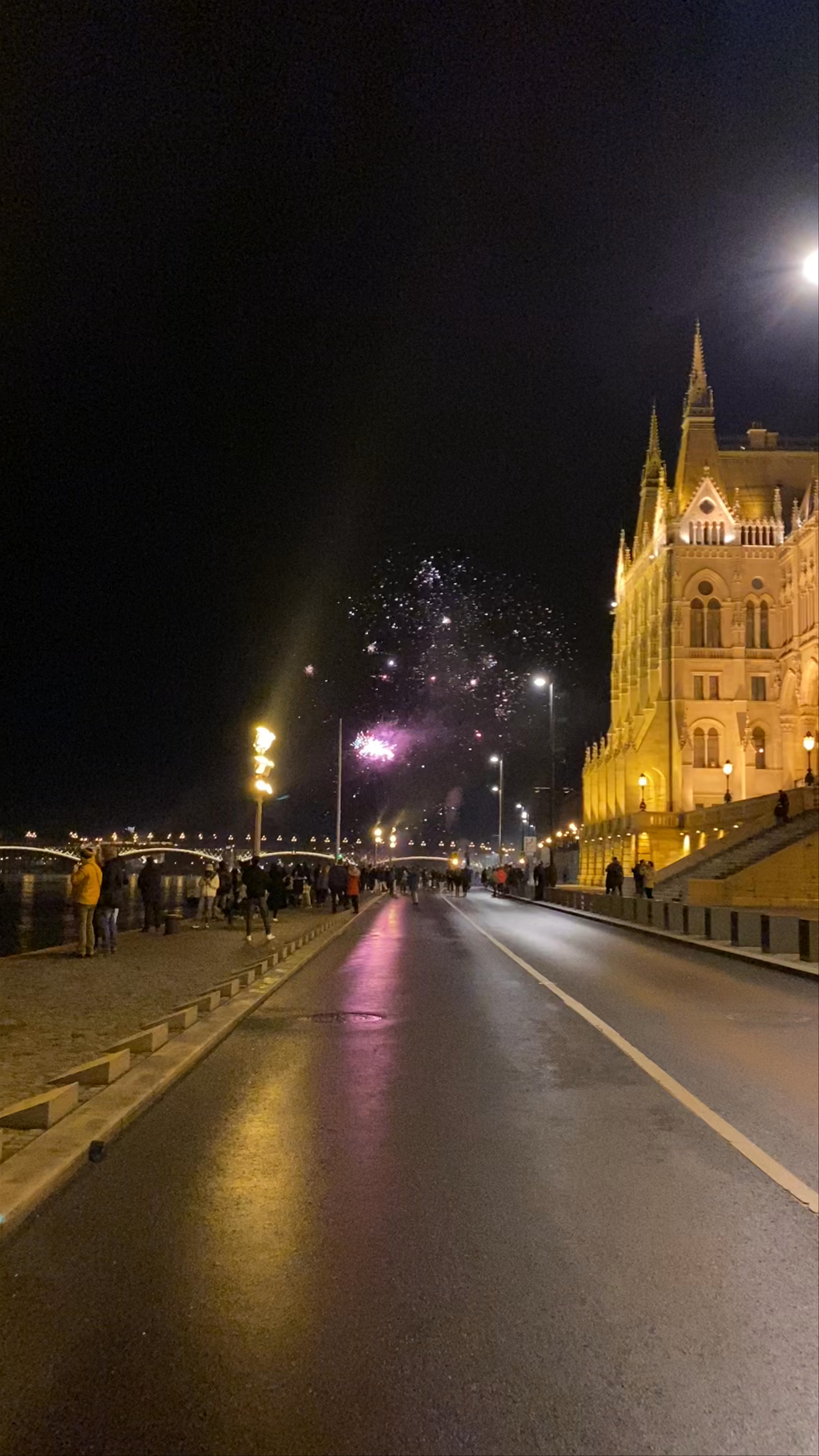 Hungarian Parliament Building