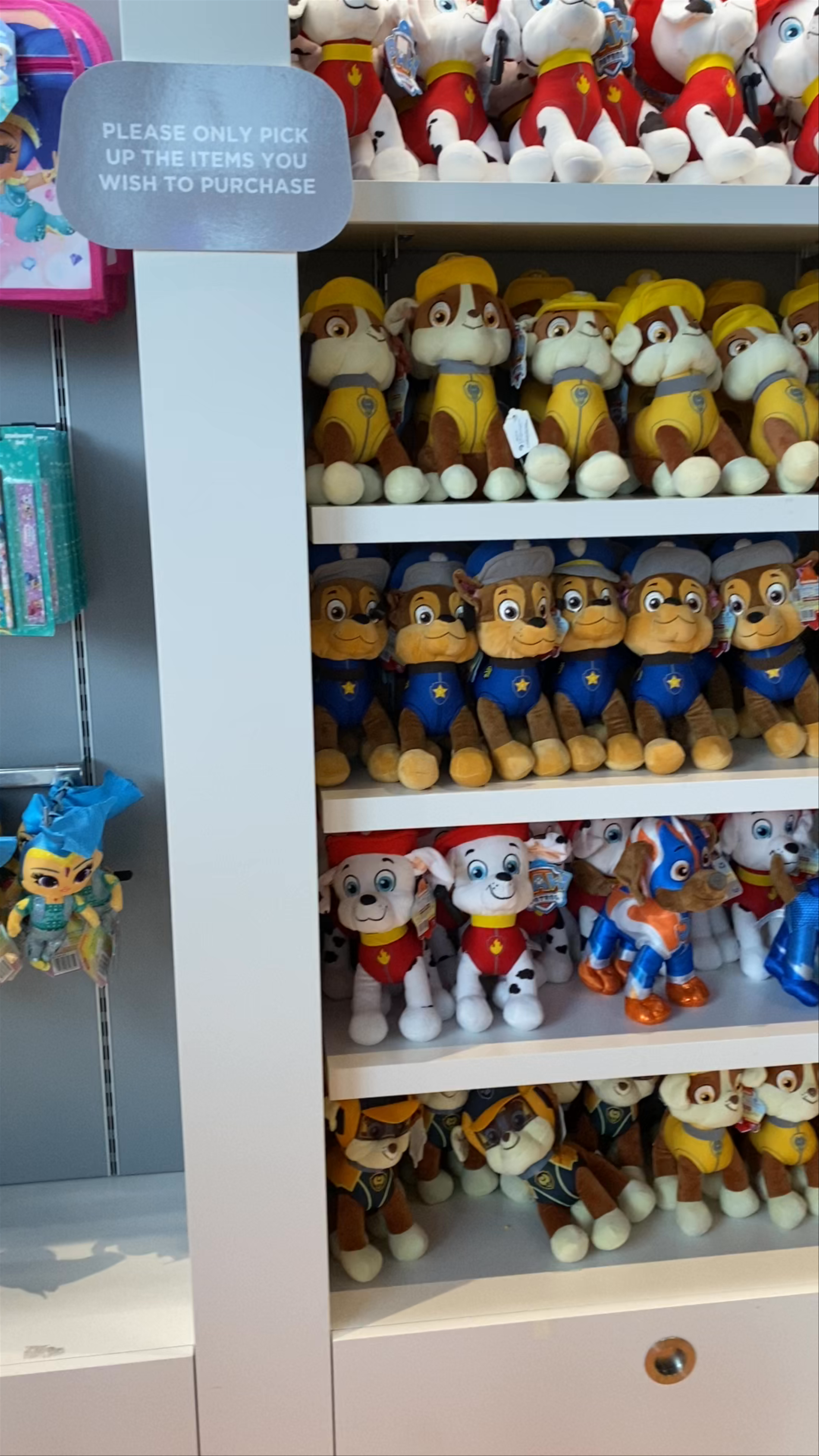Nickelodeon Adventure Lakeside: A Colorful World of Fun and Collectibles in Grays